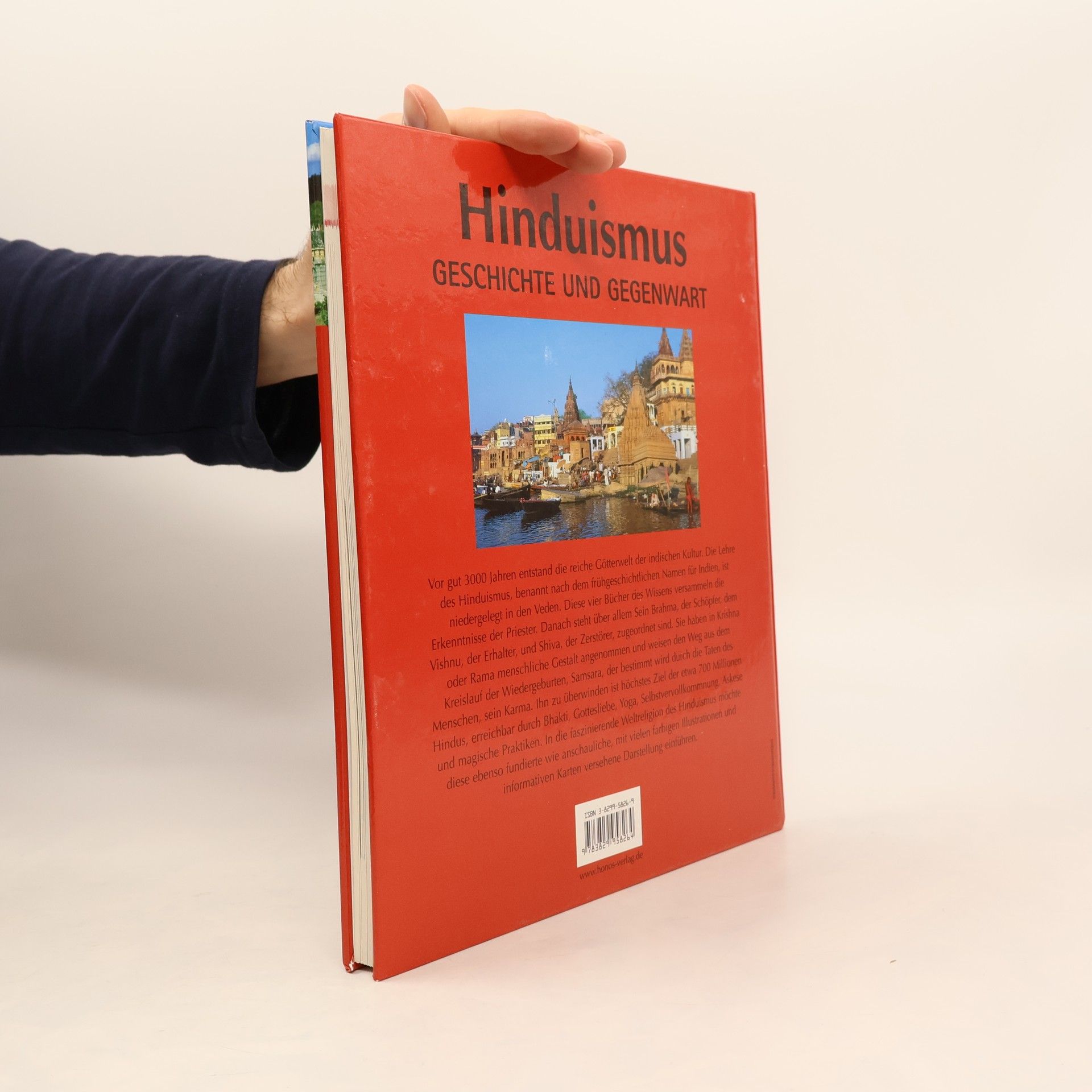 Autorenkollektiv Hinduismus. Geschichte und Gegenwart