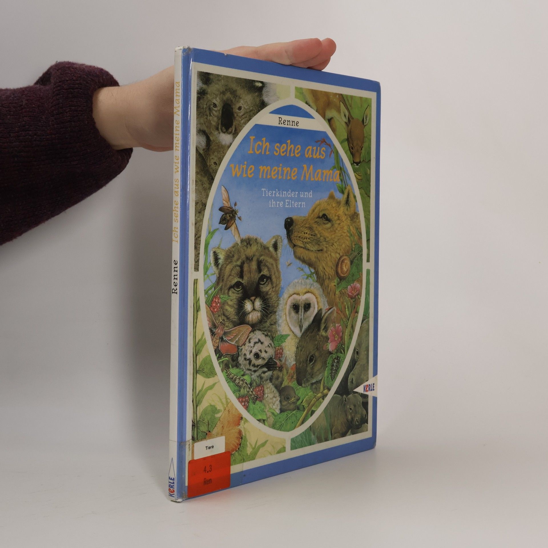 Renne Ich sehe aus wie meine Mama