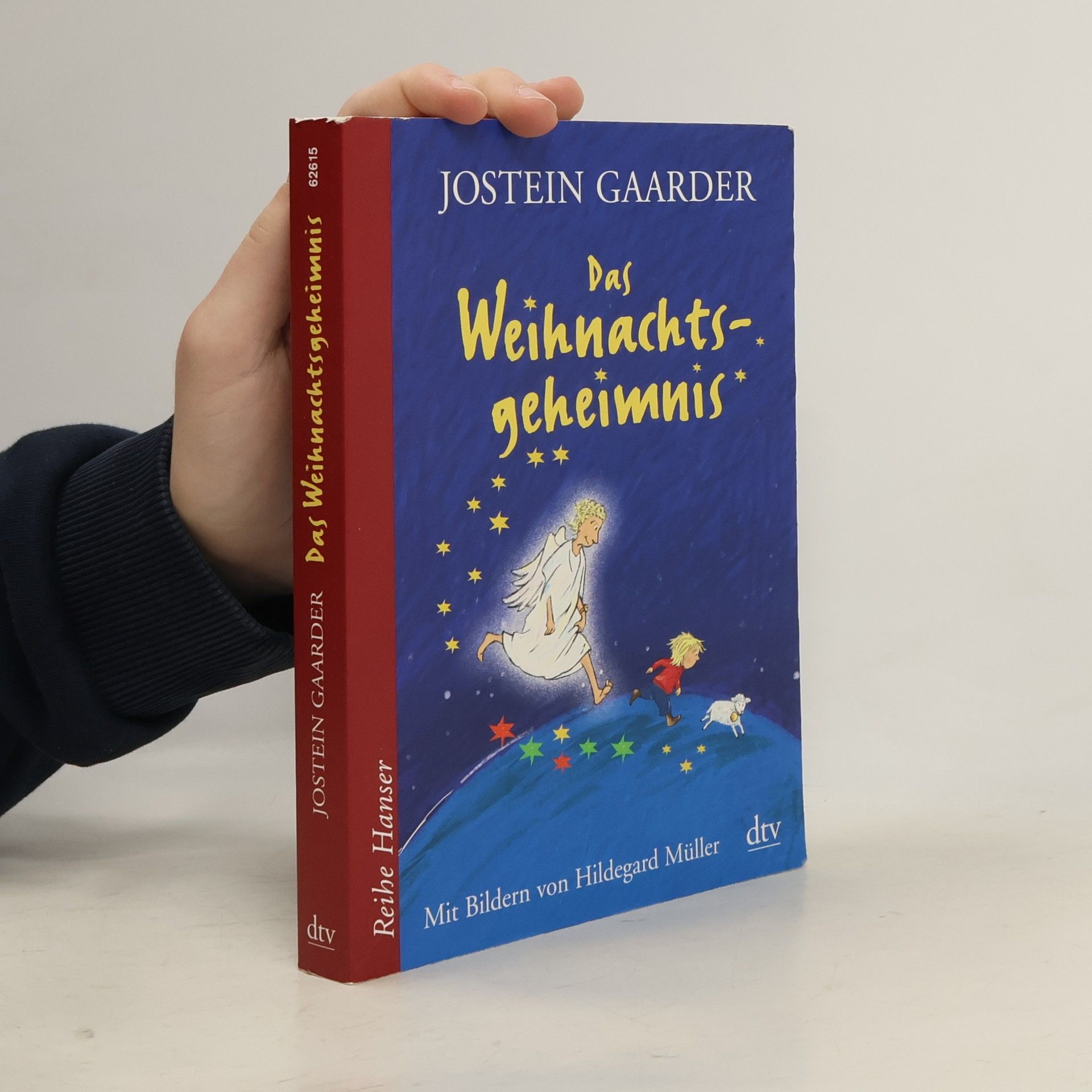 Jostein Gaarder Das Weihnachtsgeheimnis