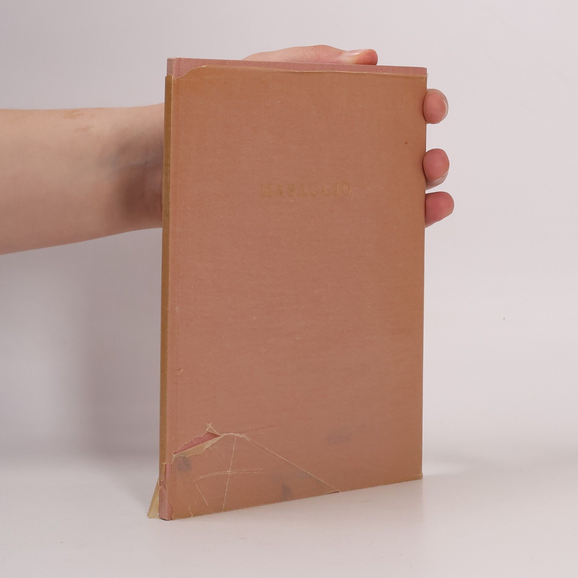 Various authors Masaccio