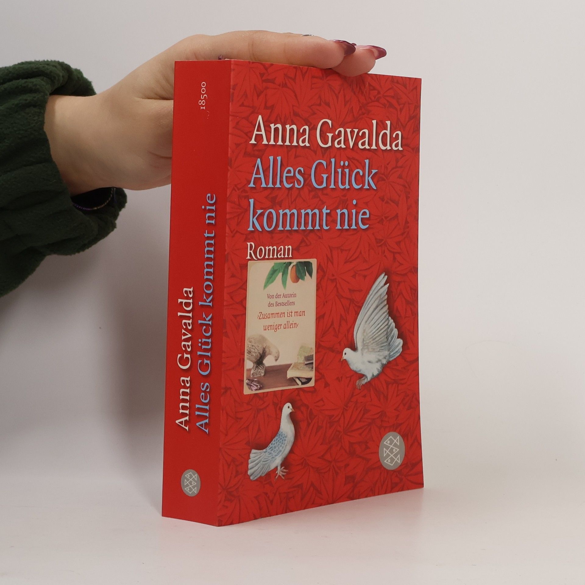 Anna Gavalda Alles Glück kommt nie