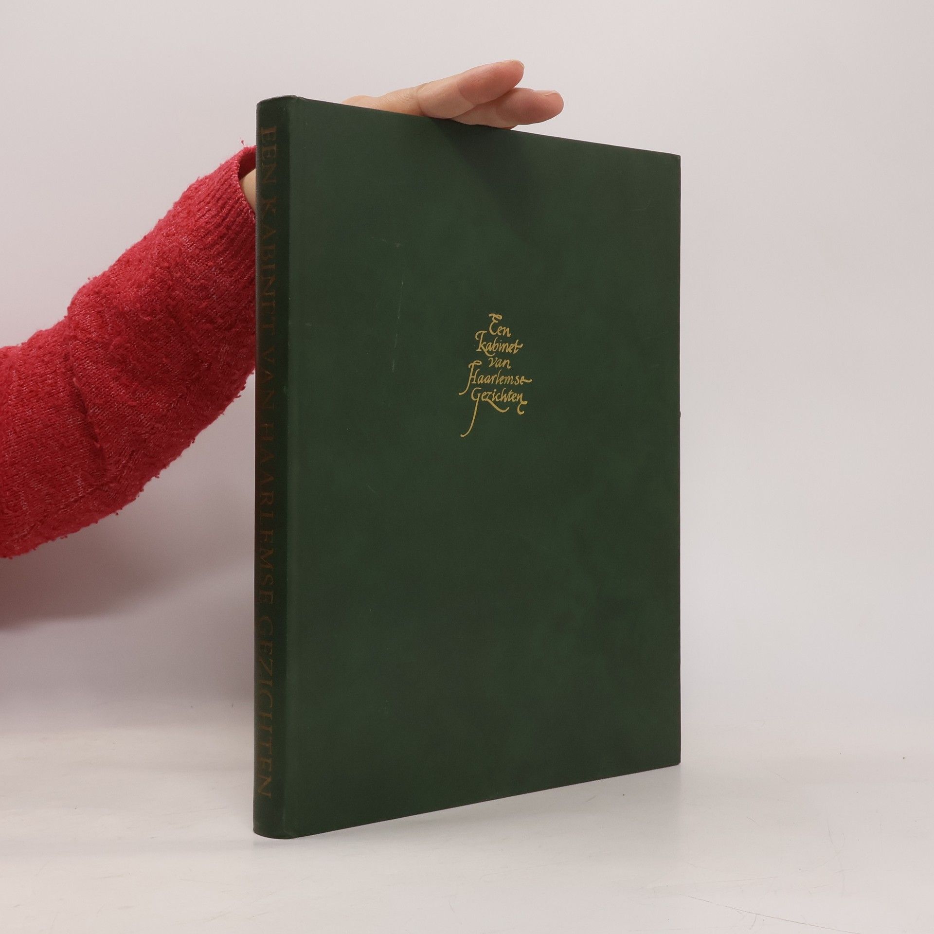 Theo Laurentius Een kabinet van Haarlemse gezichten