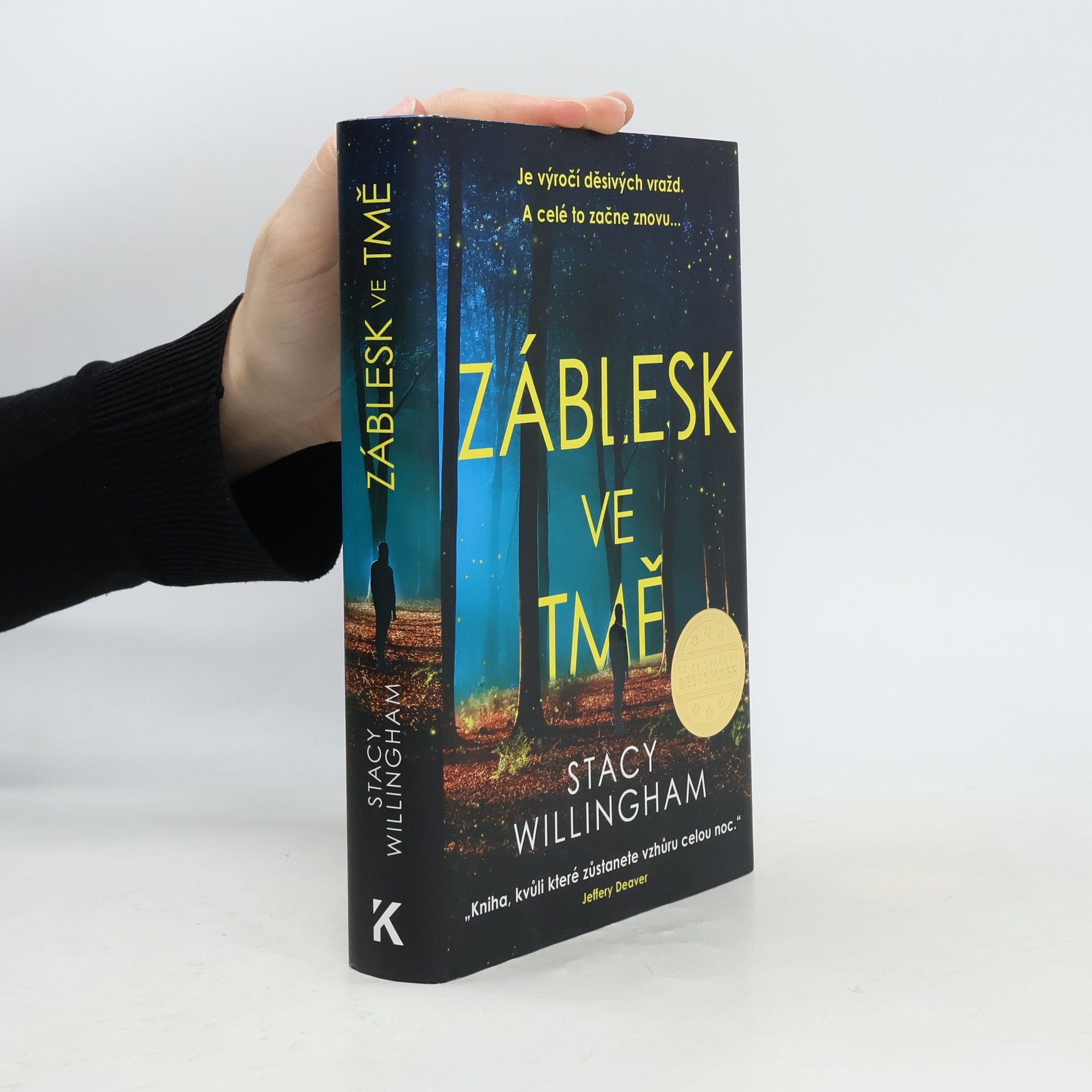 Stacy Willingham Záblesk ve tmě