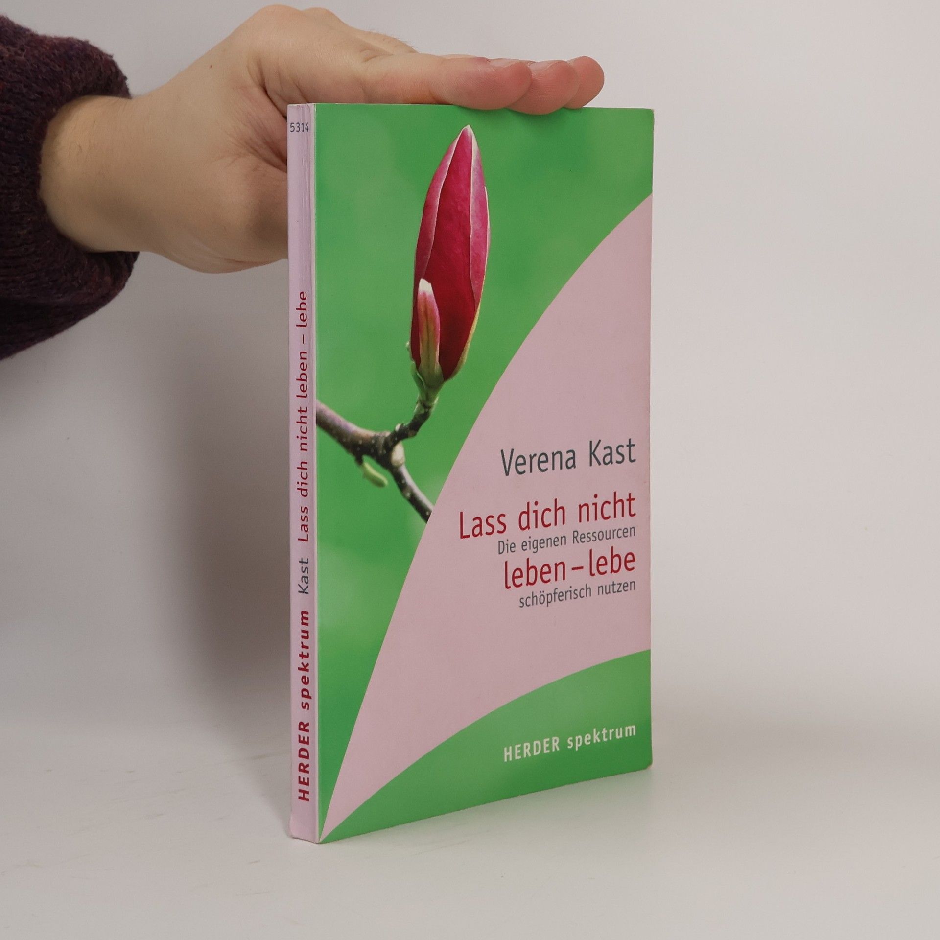 Verena Kast Lass dich nicht leben - lebe!