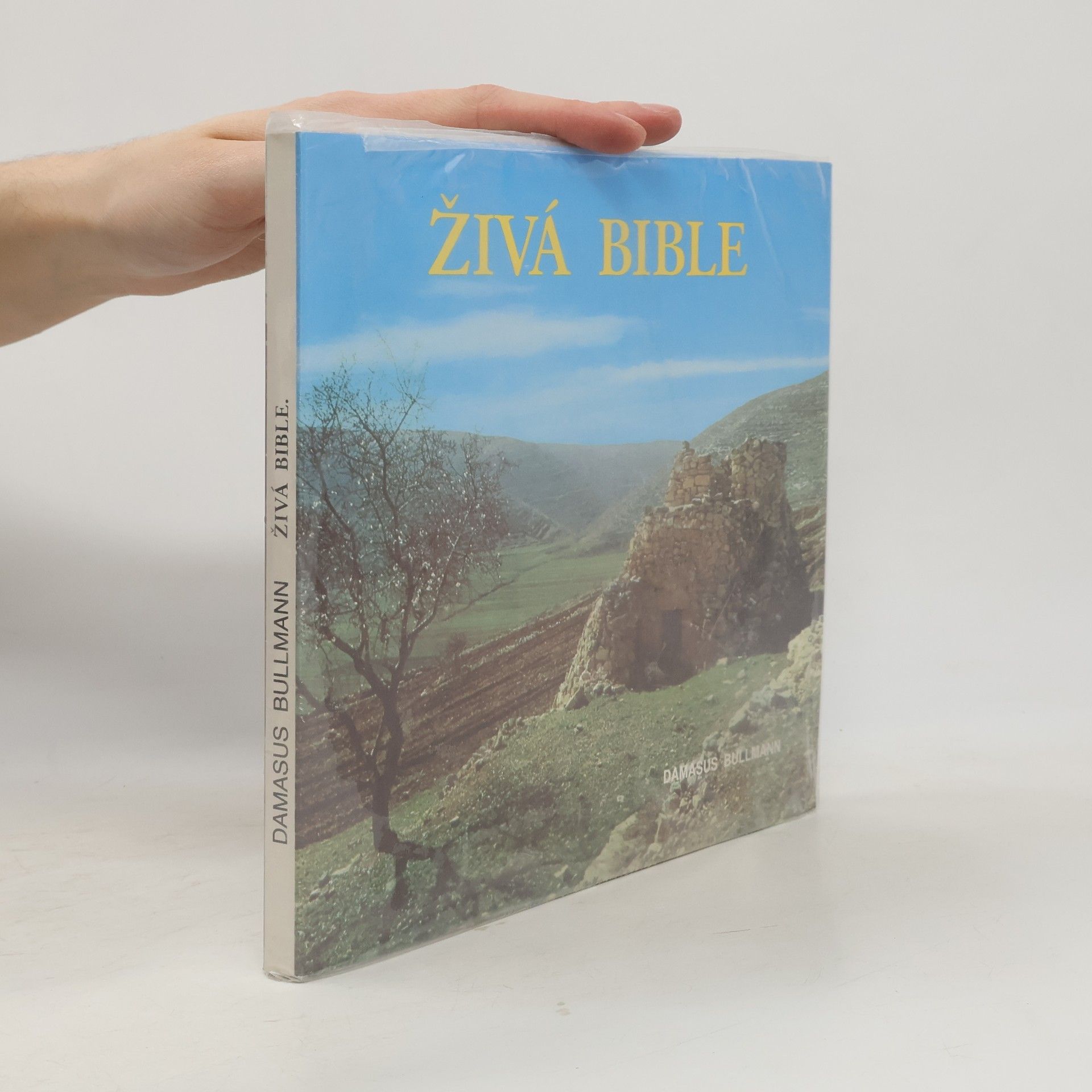 Damasus Bullman Živá bible