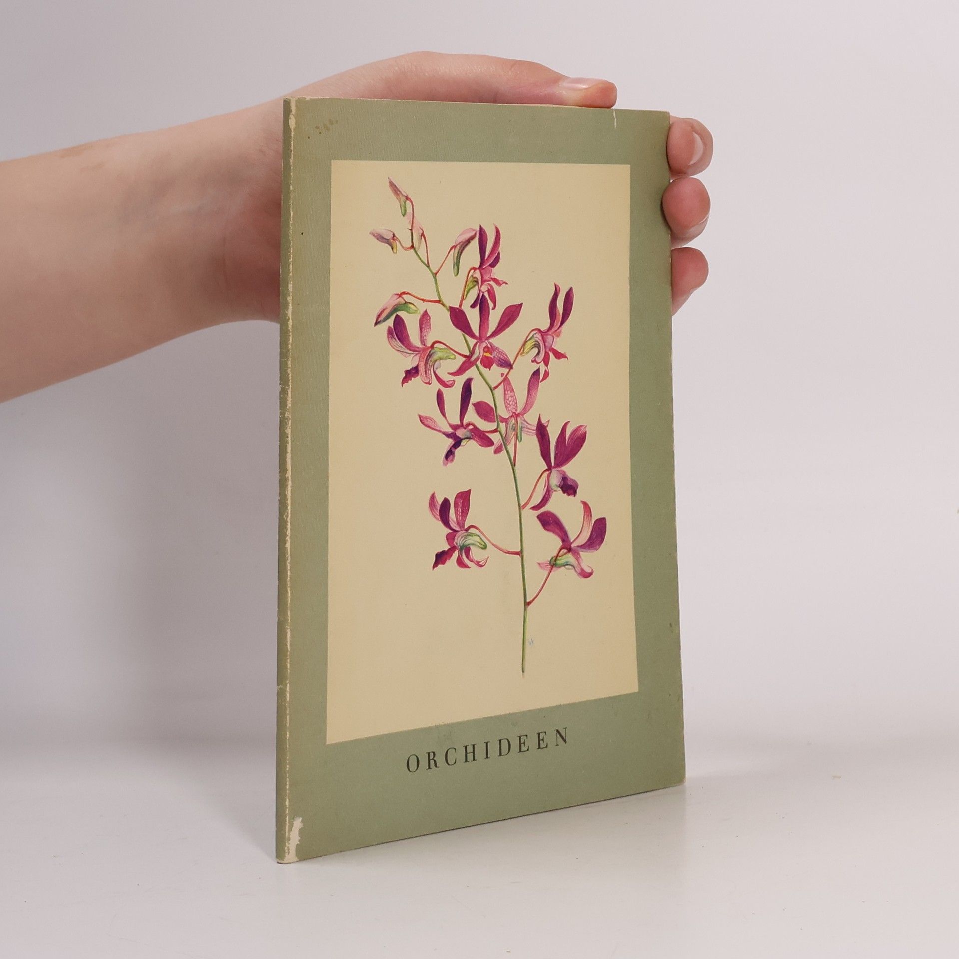 Karl H. Meyer Orchideen