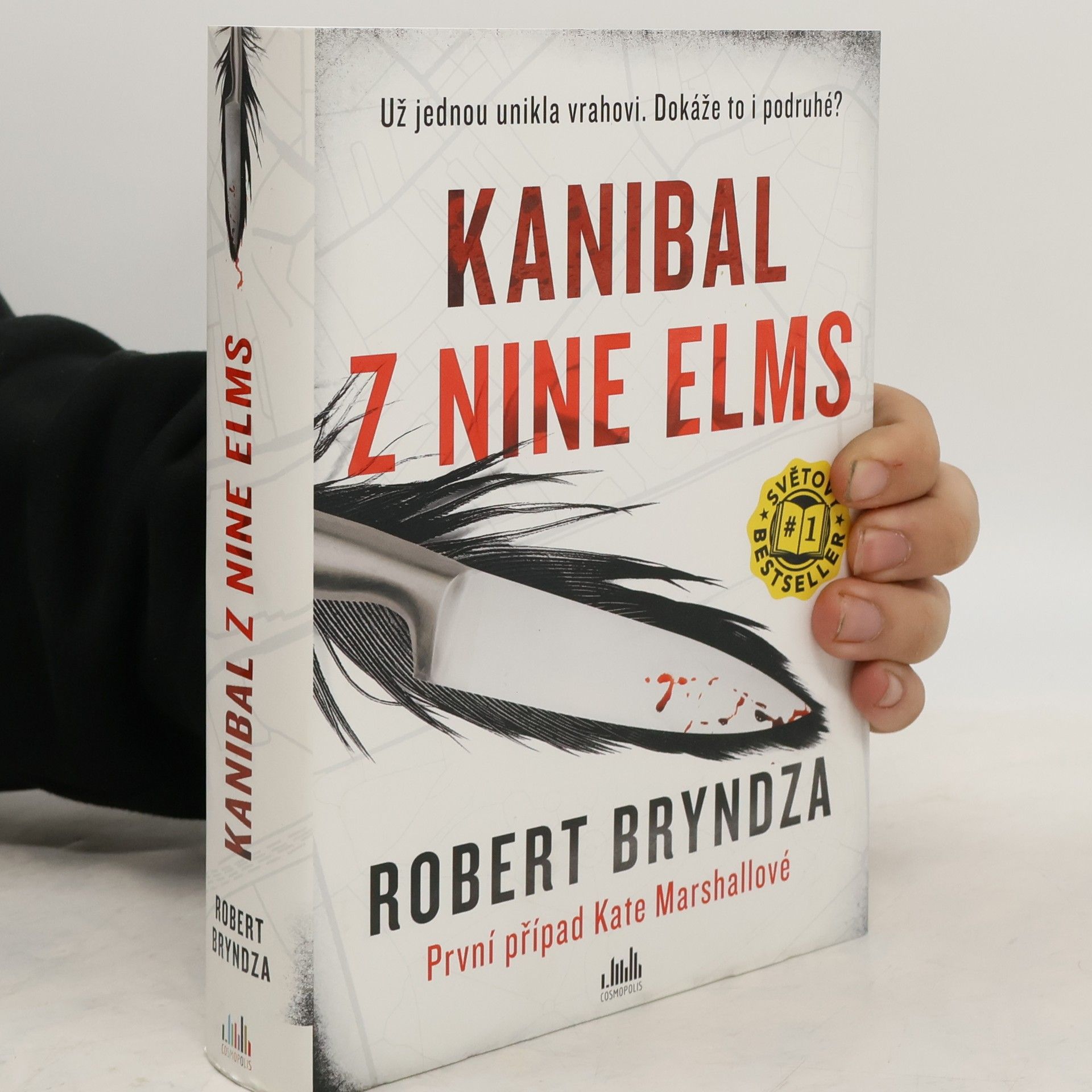 Robert Bryndza Kanibal z Nine Elms