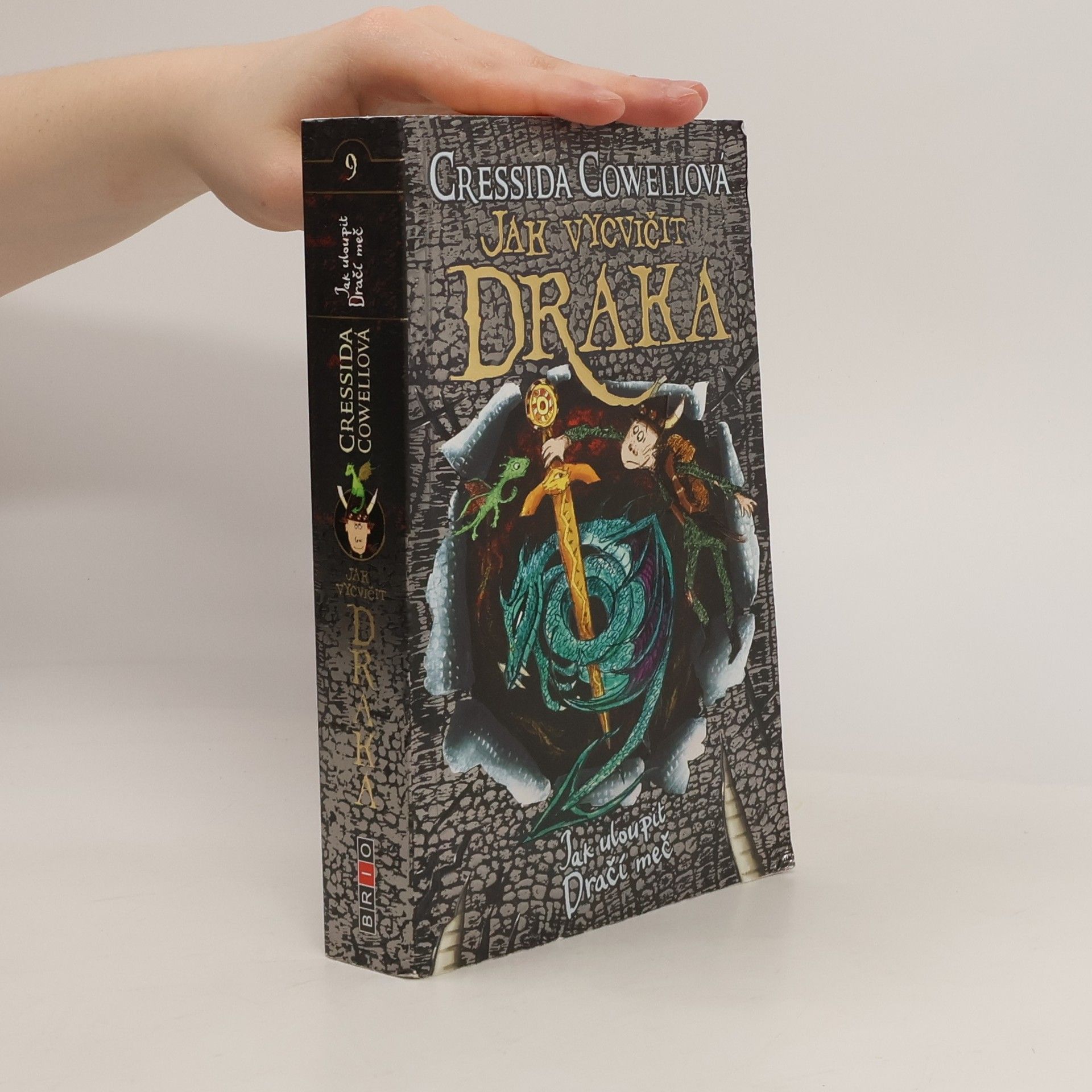 Cressida Cowell Jak uloupit dračí meč