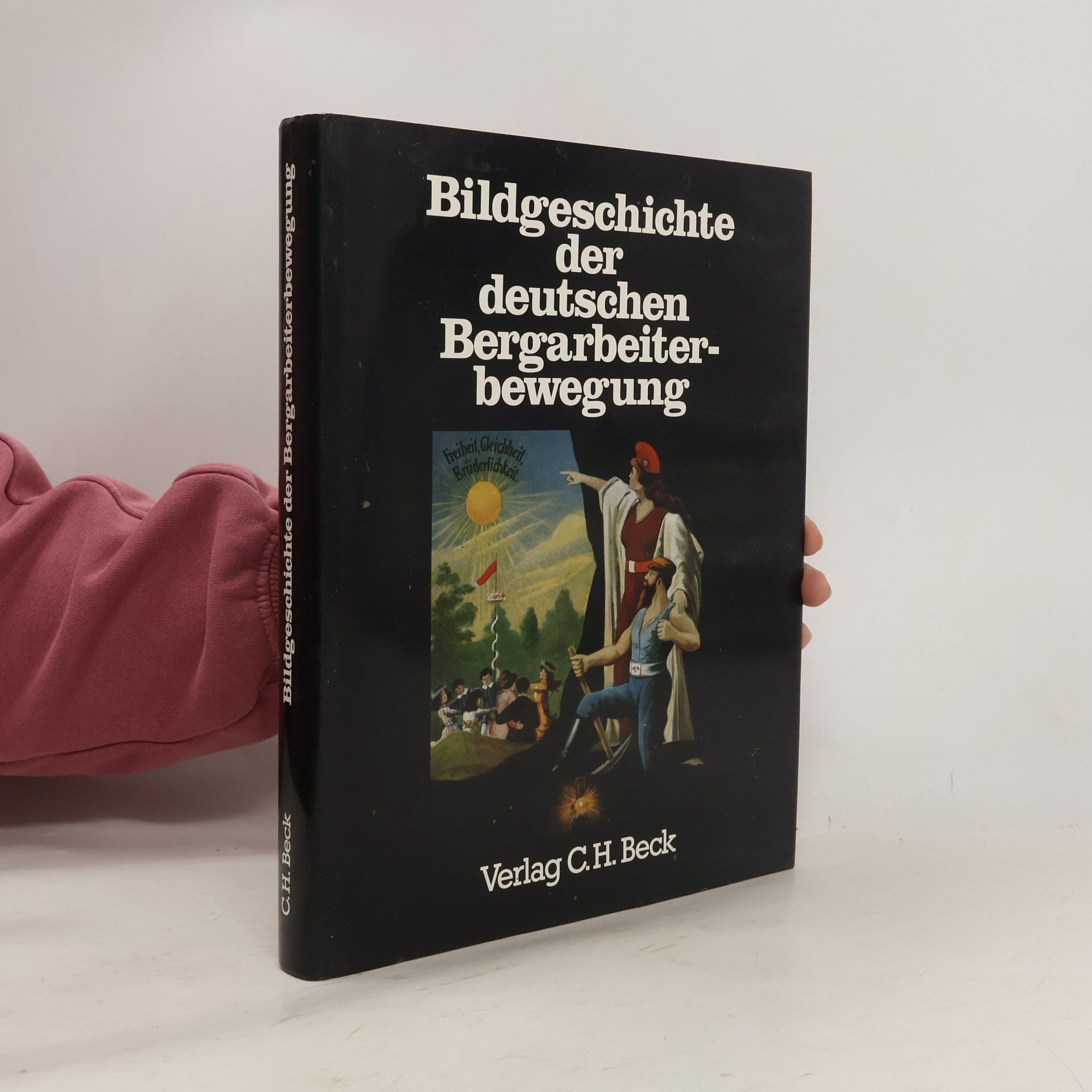 Bildgeschichte der deutschen Bergarbeiterbewegung