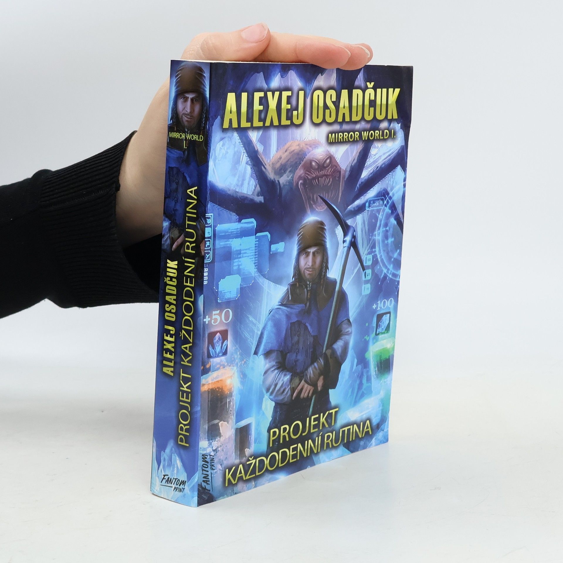 Mirror world. I., Projekt Každodenní rutina