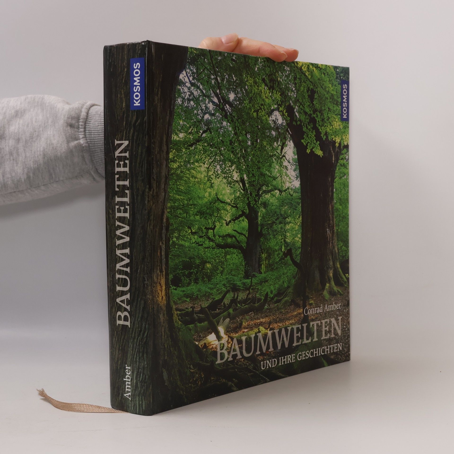 Conrad Amber Baumwelten und ihre Geschichten