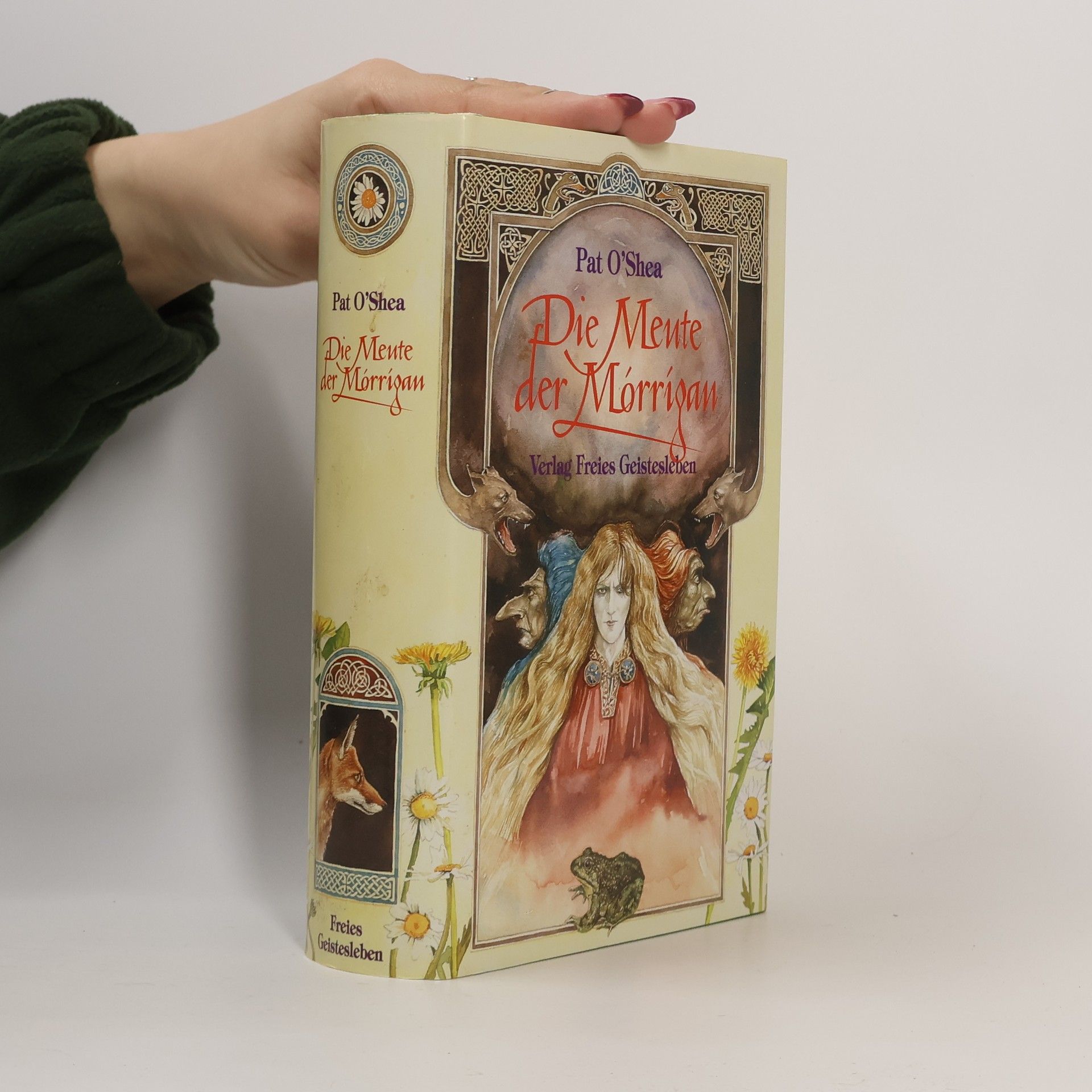 Pat O'Shea Die Meute der Morrigan