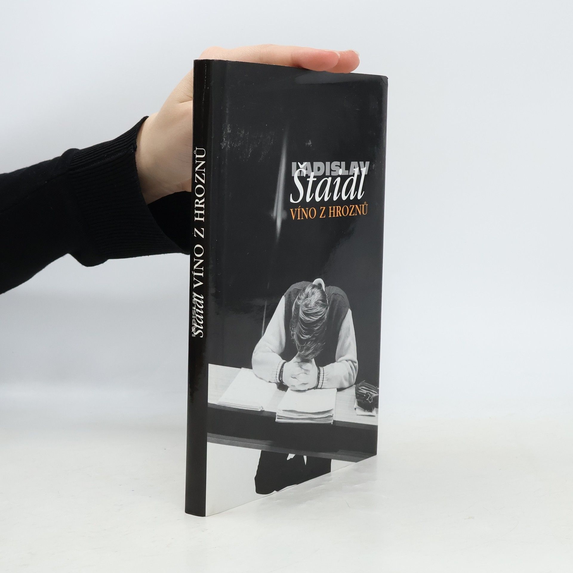 Ladislav Štaidl Víno z hroznů