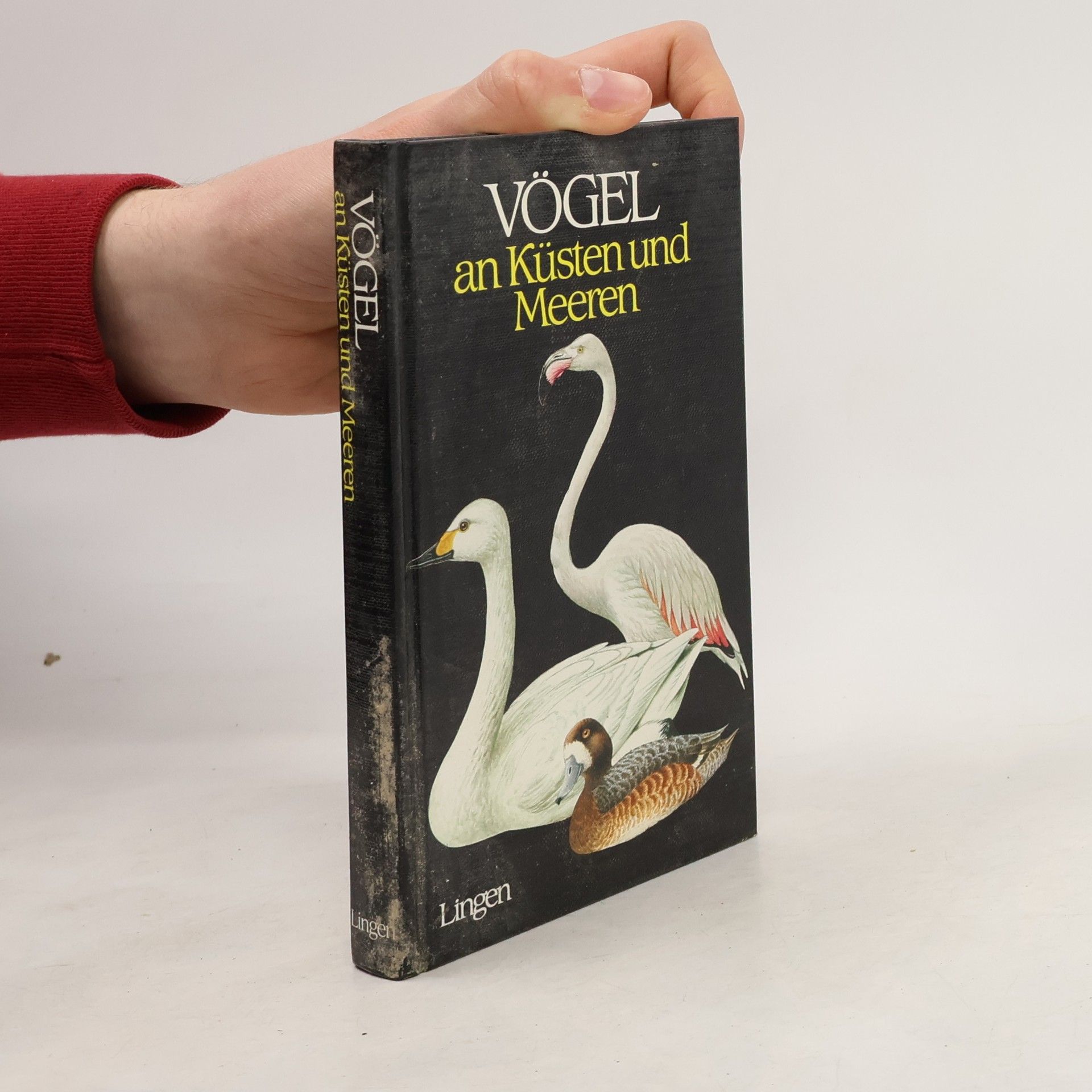 J. Felix Vögel an Küsten und Meeren