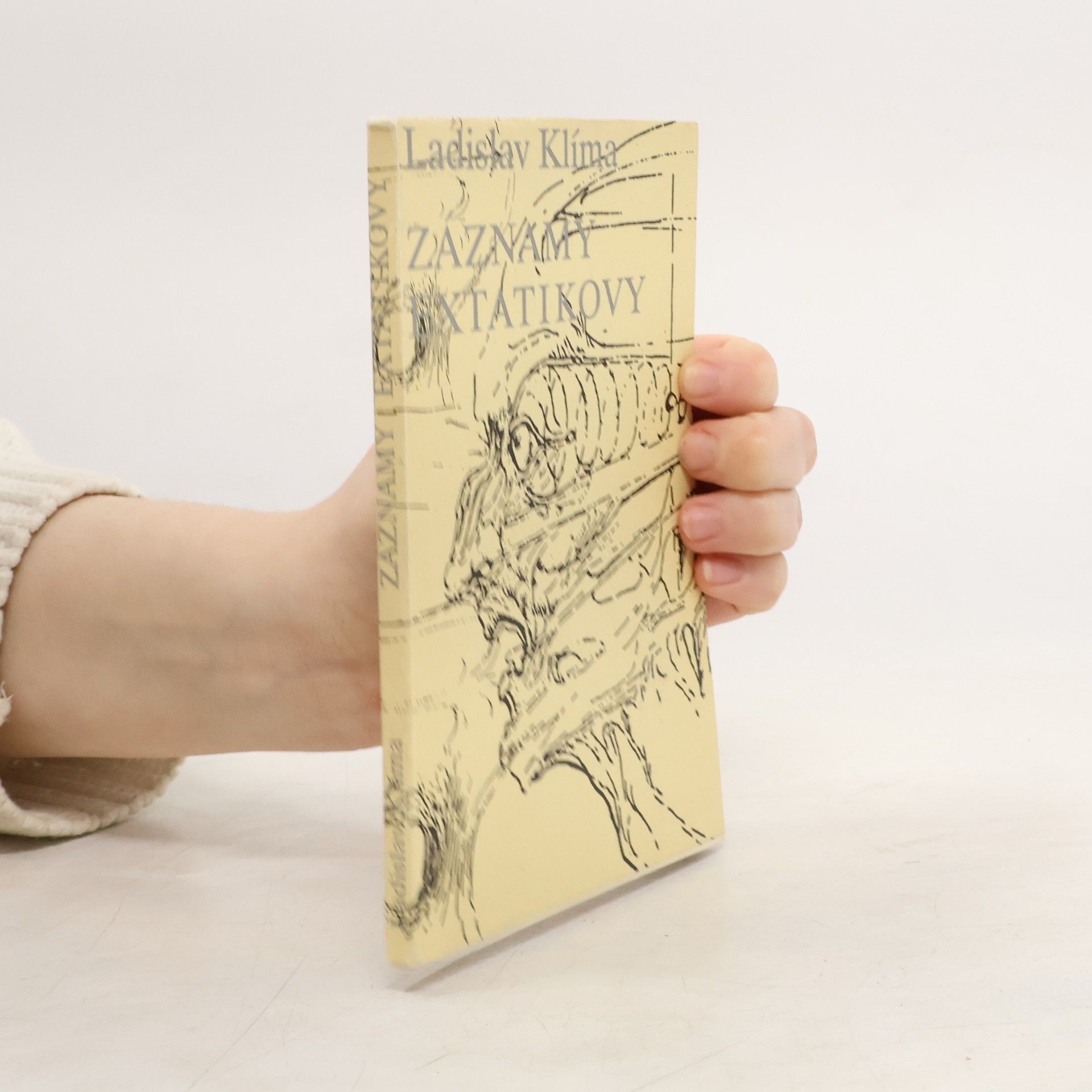 Ladislav Klíma Záznamy extatikovy