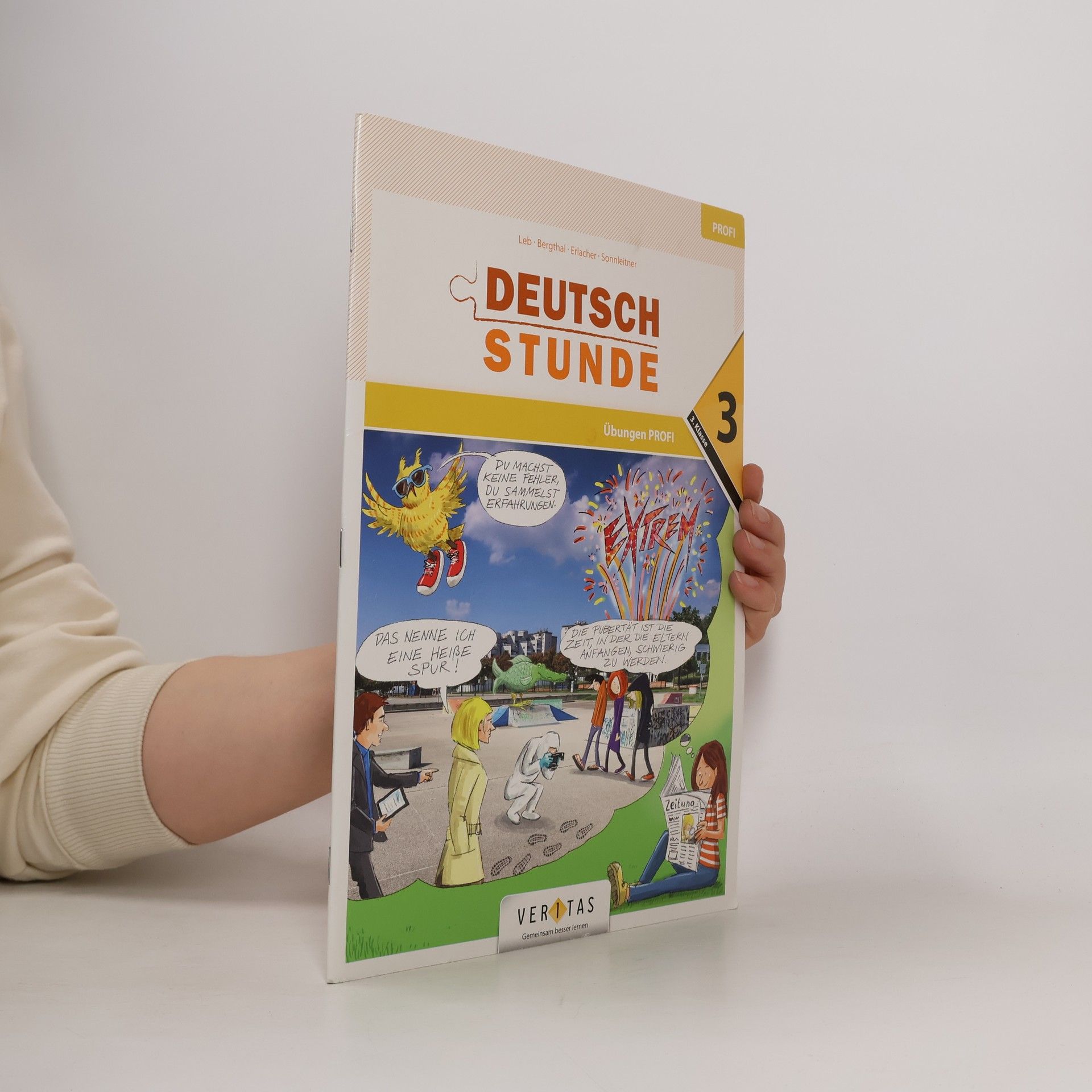 Kolektív autorov Deutschstunde 3