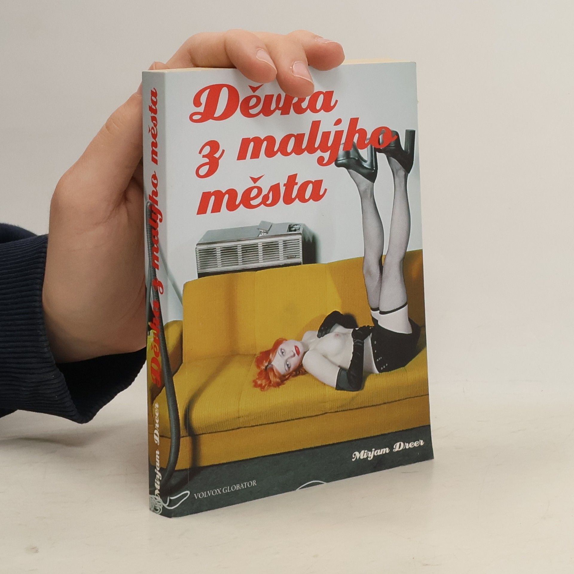 Mirjam Dreer Děvka z malýho města