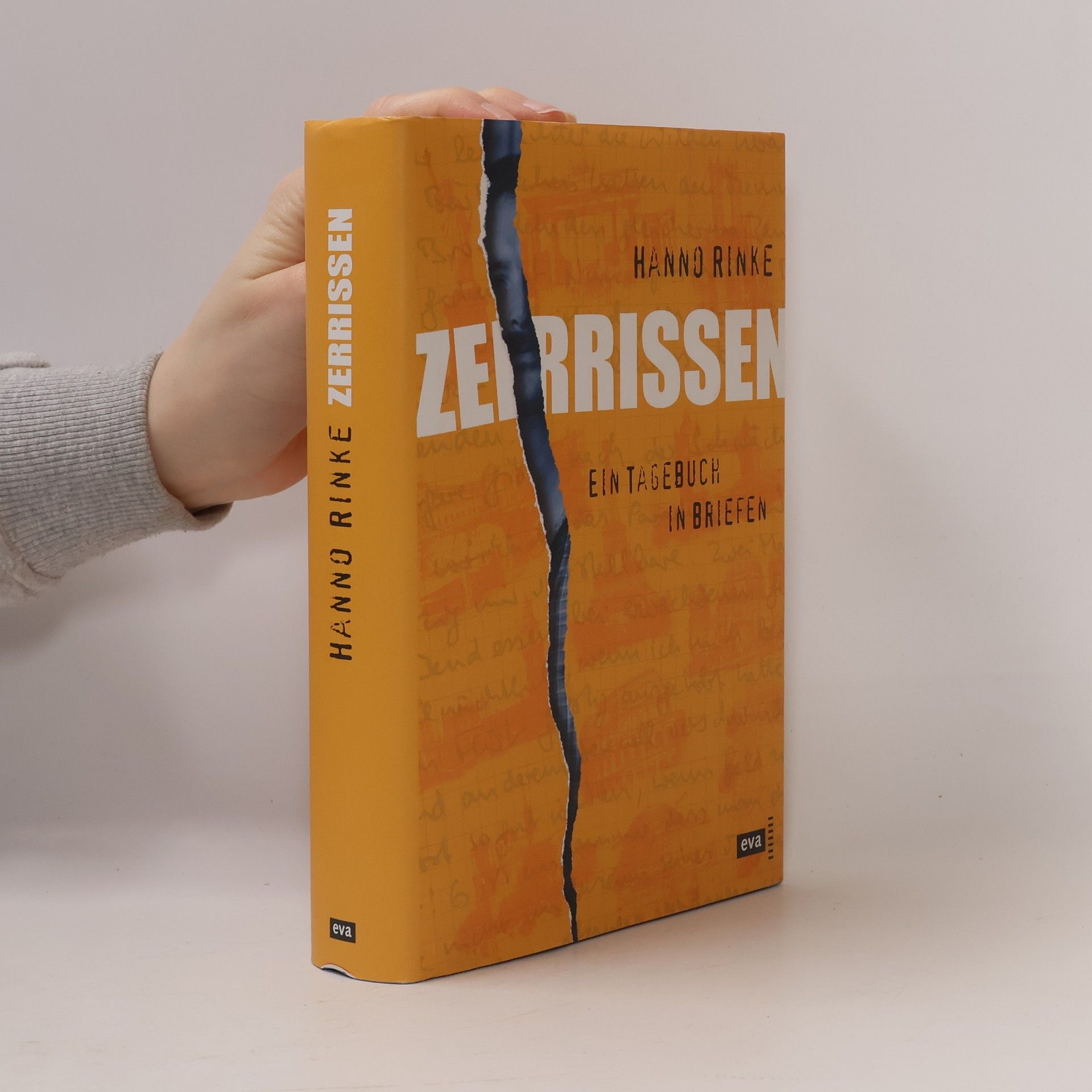 Hanno Rinke Zerrissen. Ein Tagebuch in Briefen
