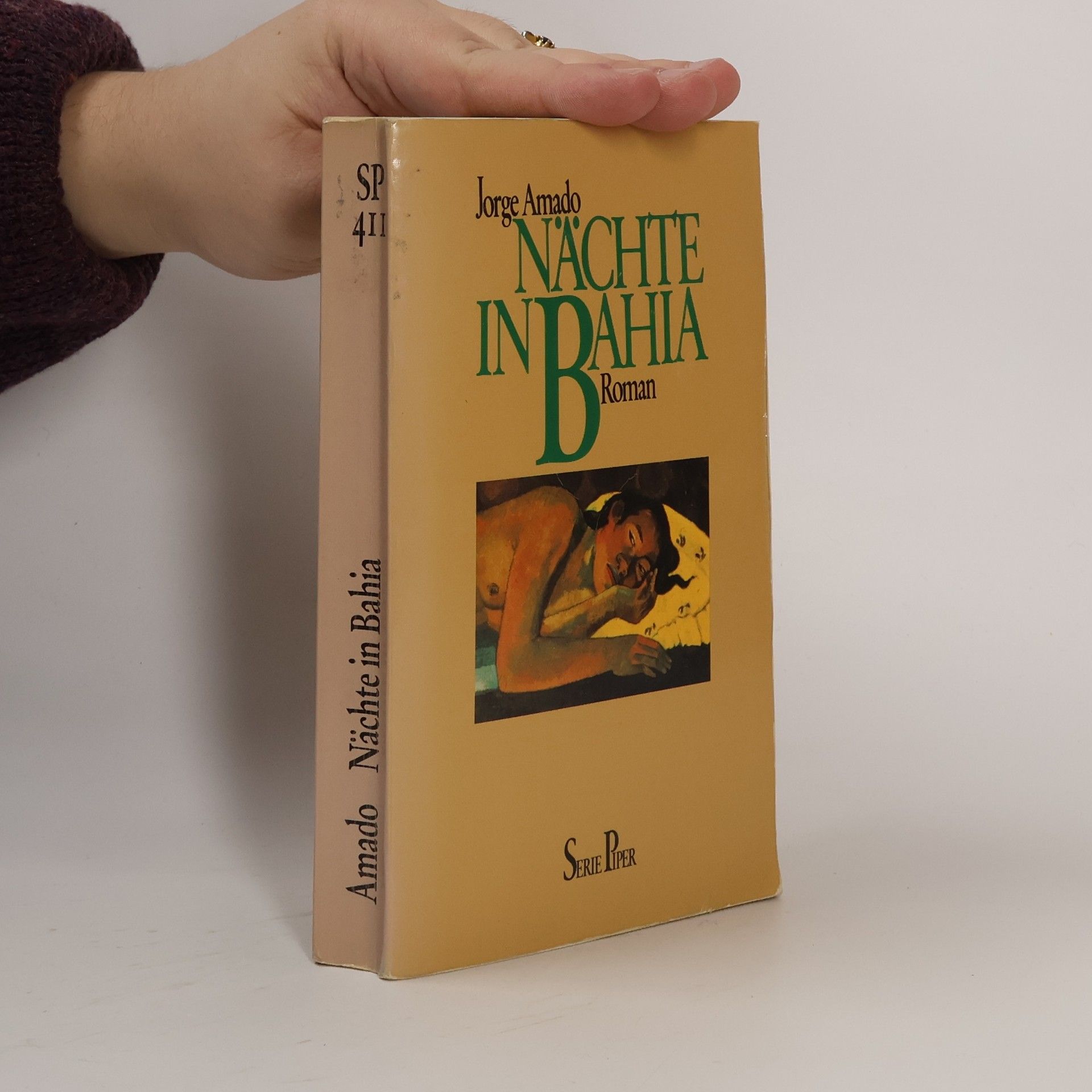 Jorge Amado Nächte in Bahia