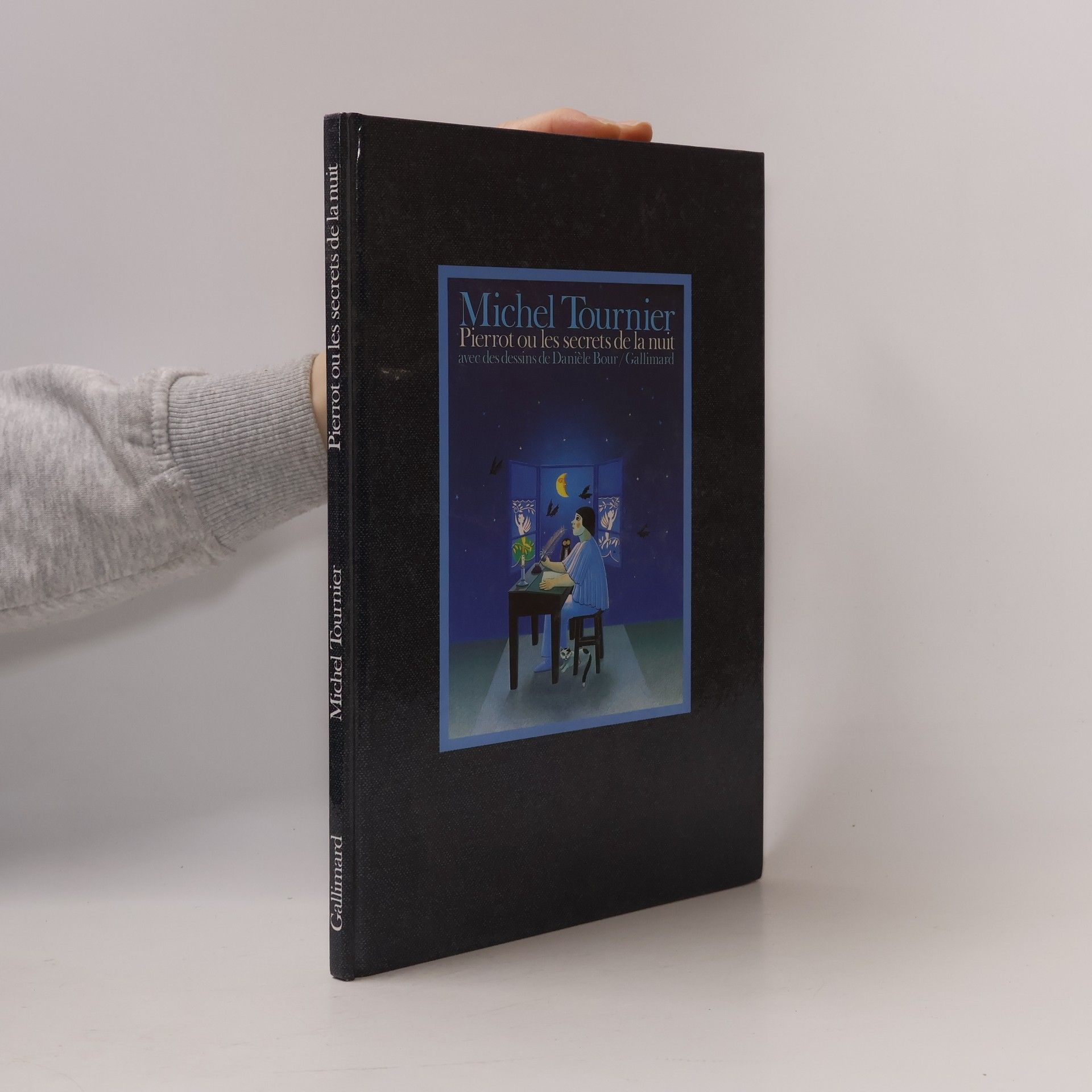 Michel Tournier Pierrot ou les secrets de la nuit