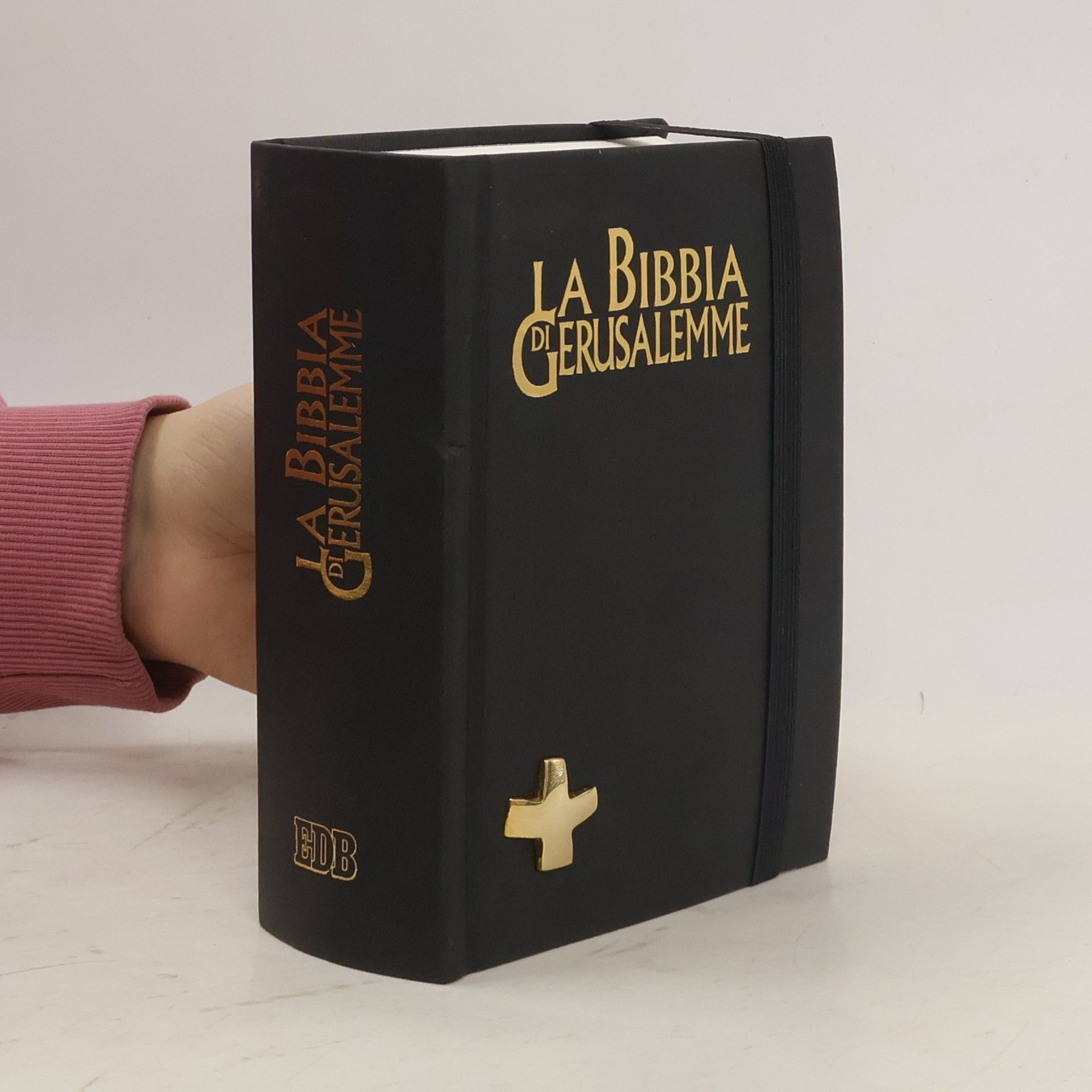 Marko Rupnik La Bibbia di Gerusalemme