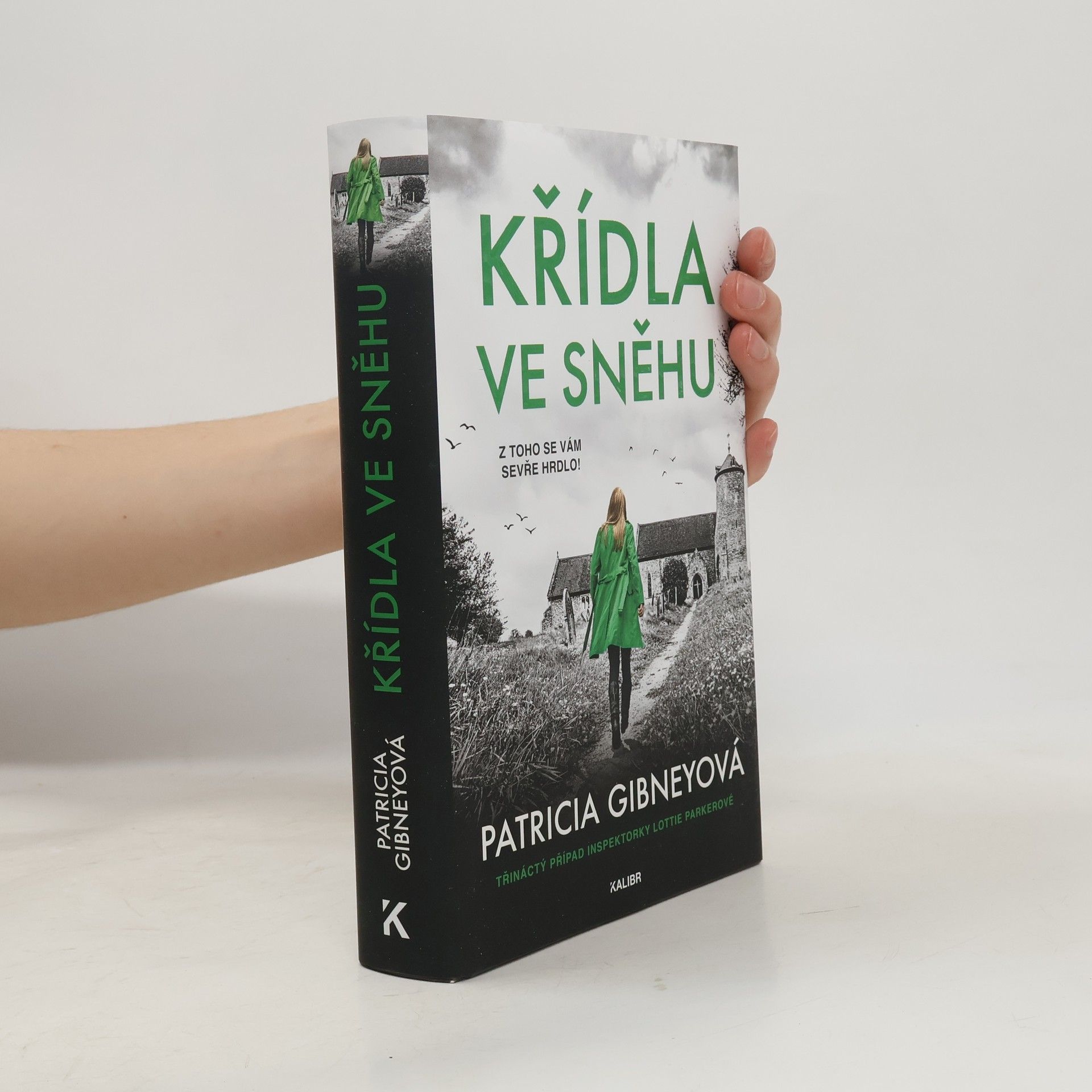 Patricia Gibney Křídla ve sněhu