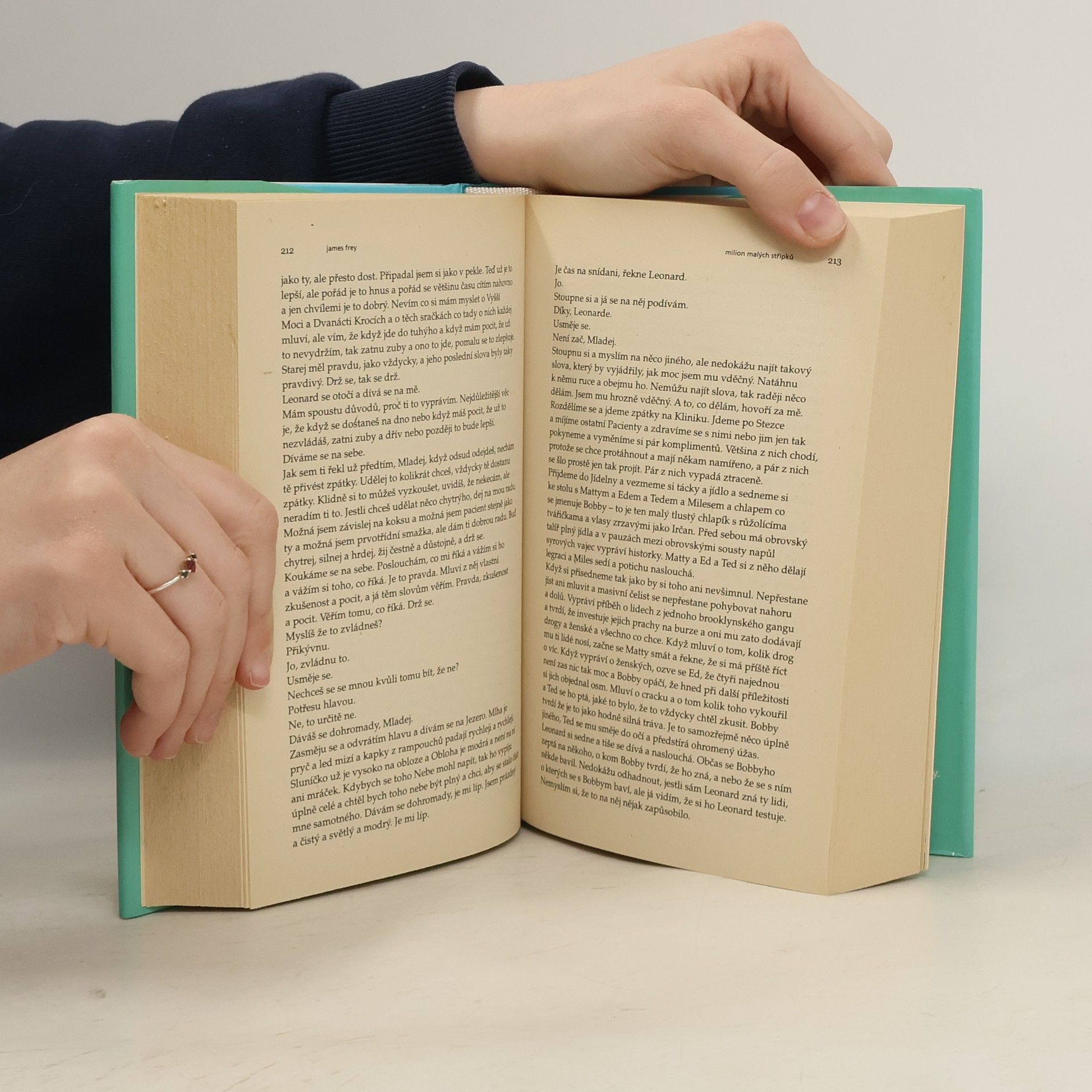 James Frey Milion malých střípků