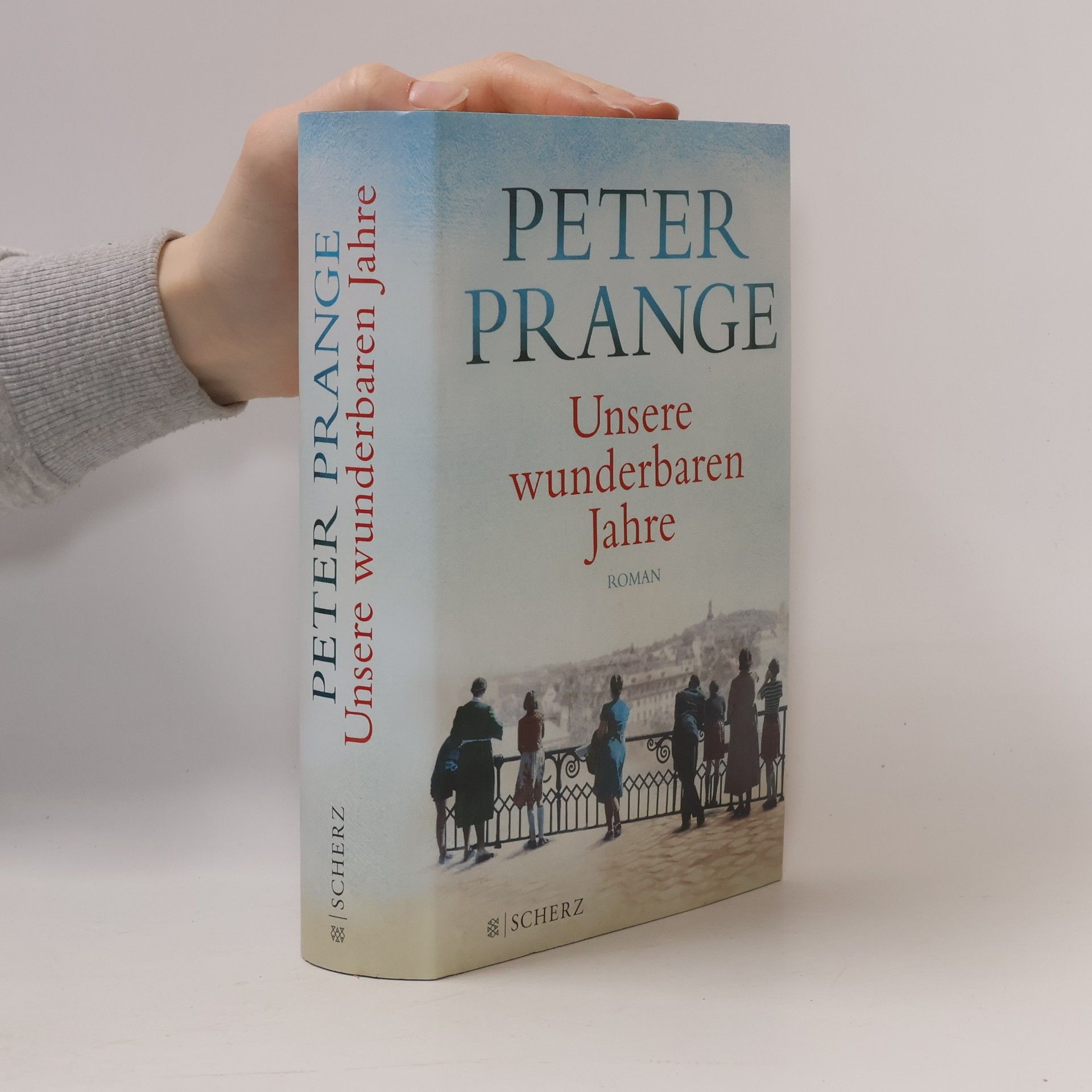 Peter Prange Unsere wunderbaren Jahre