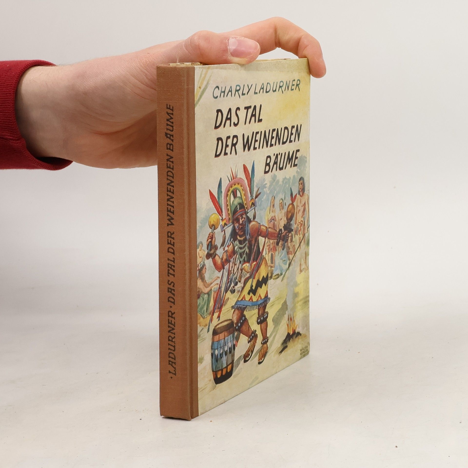 Charly Ladurner Das Tal der Weinenden Bäume