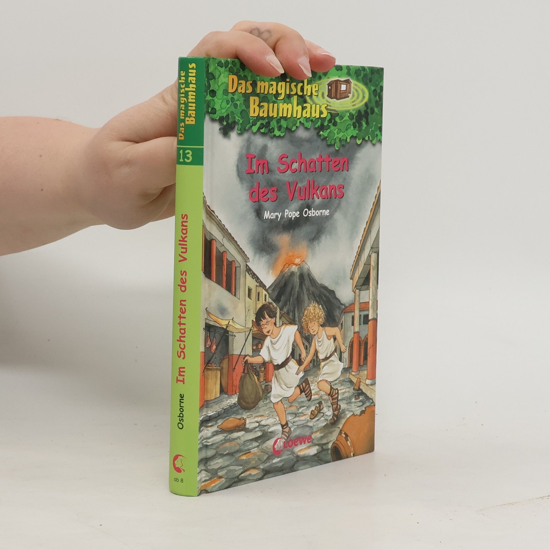 Sabine Rahn Im Schatten des Vulkans