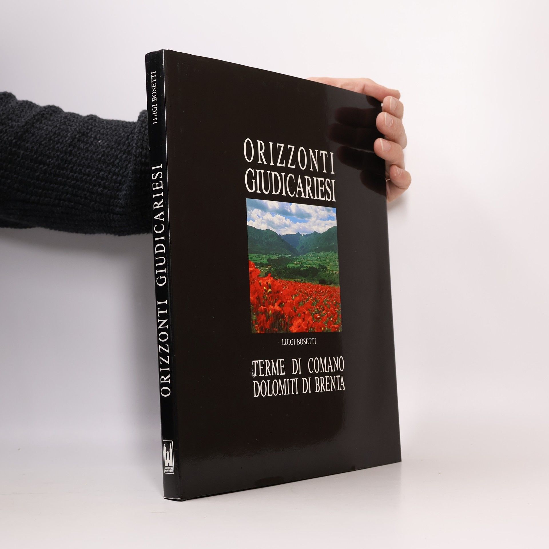 Luigi Bosetti Orizzonti Giudicariesi