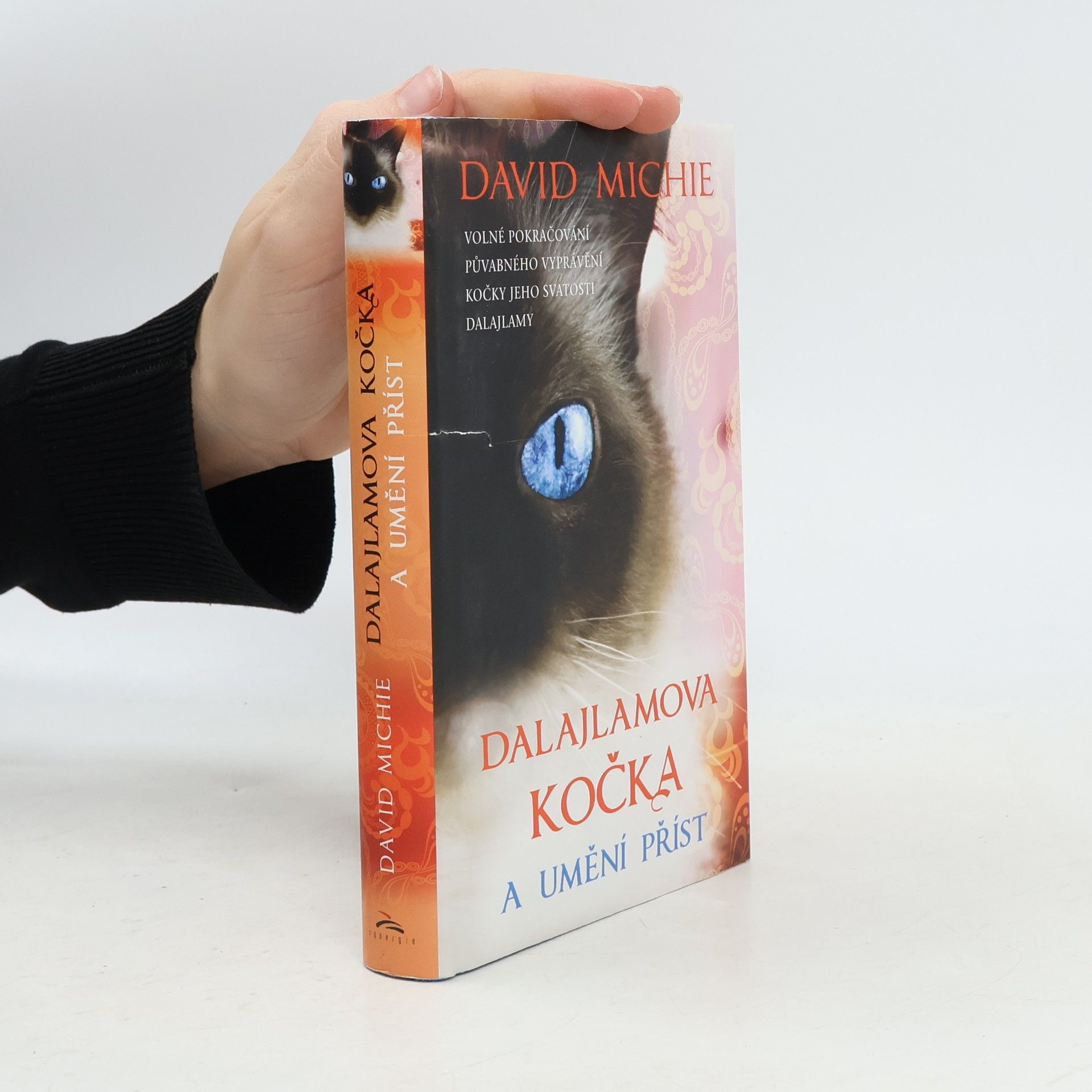 David Michie Dalajlamova kočka a umění příst