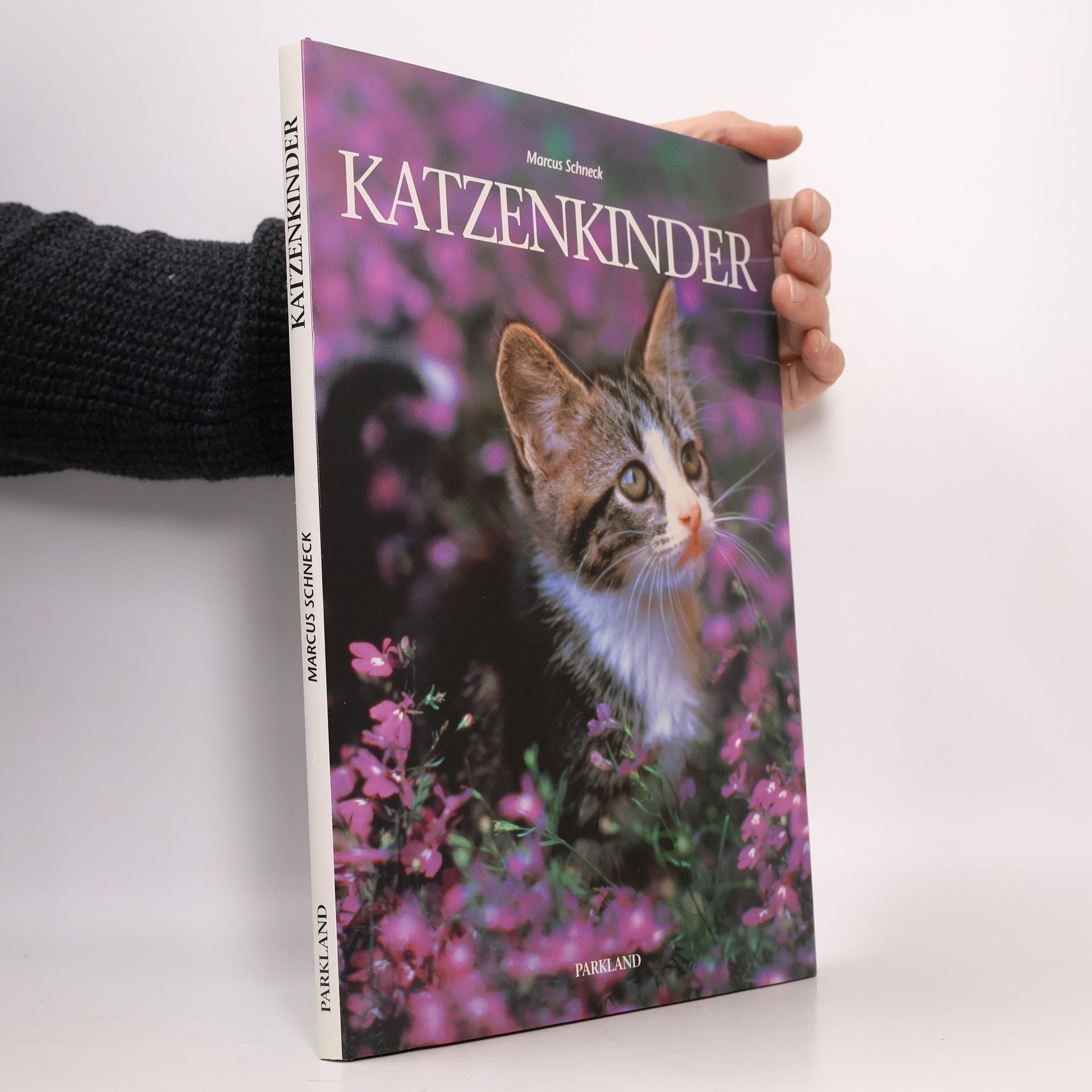 Marcus Schneck Katzenkinder