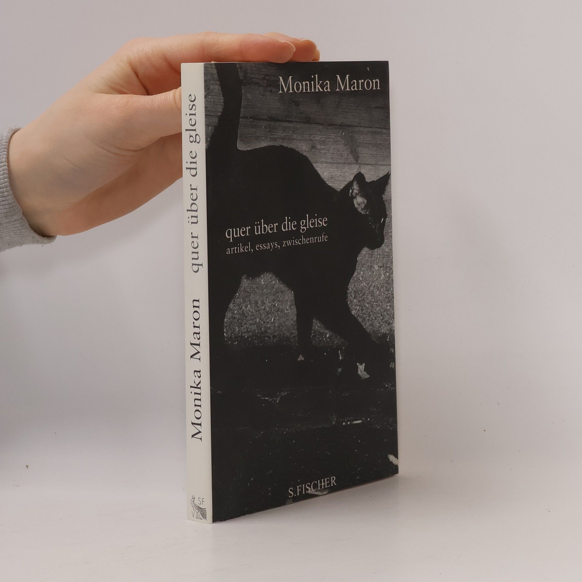 Monika Maron Quer über die Gleise