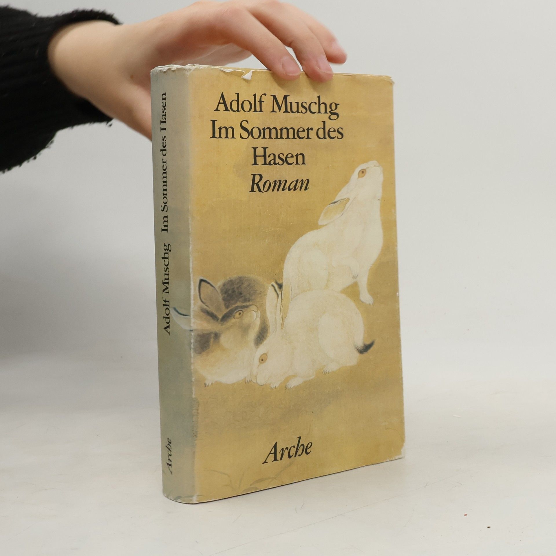 Adolf Muschg Im Sommer des Hasen