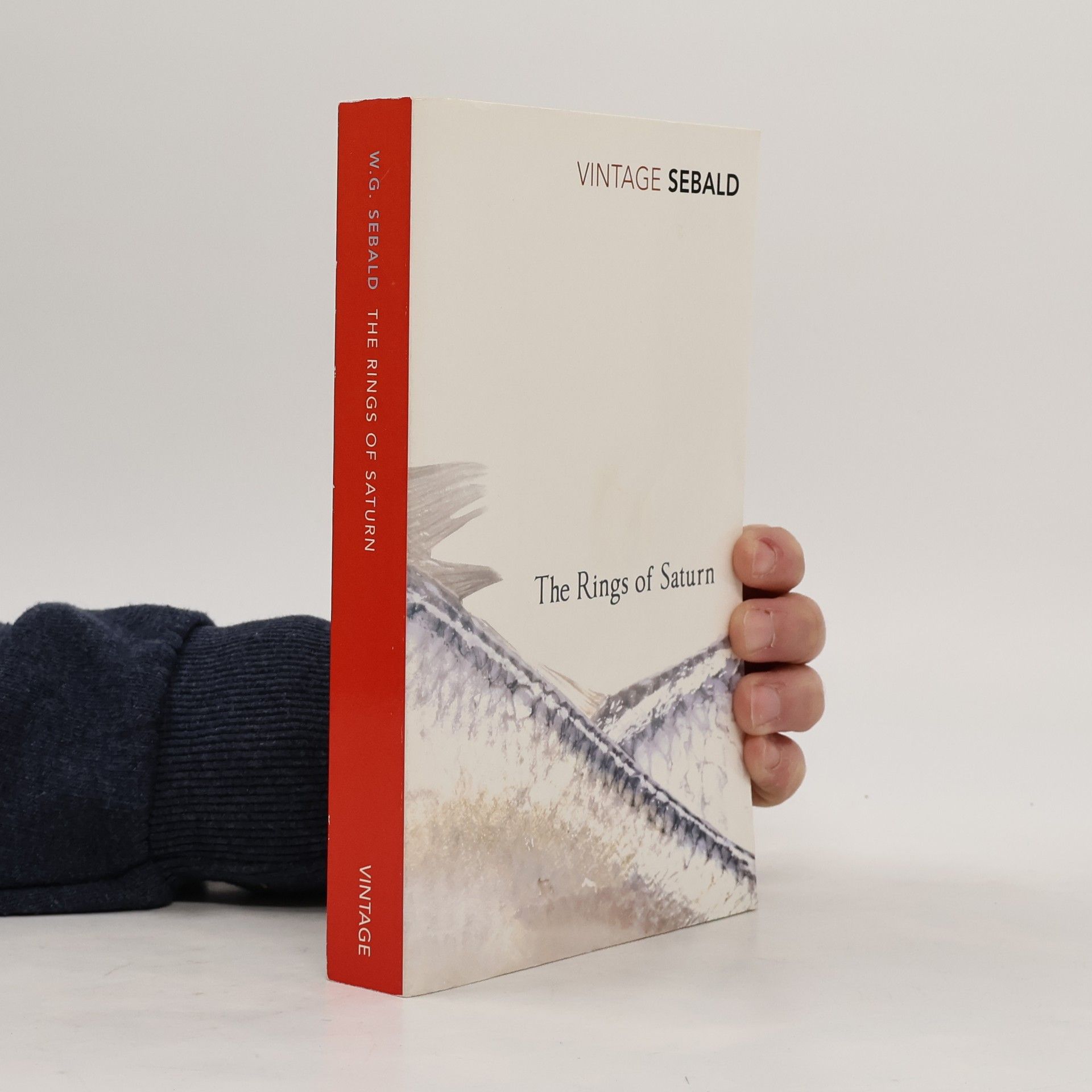 W. G. Sebald The Rings of Saturn