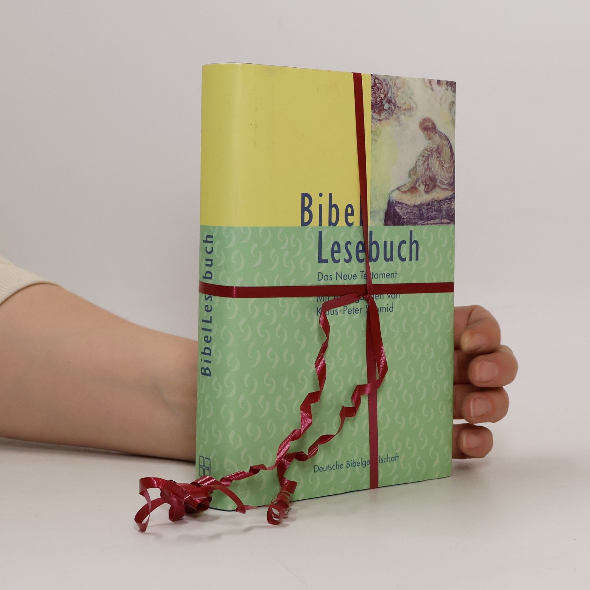 Anselm Schmid BibelLesebuch. Neues Testament.