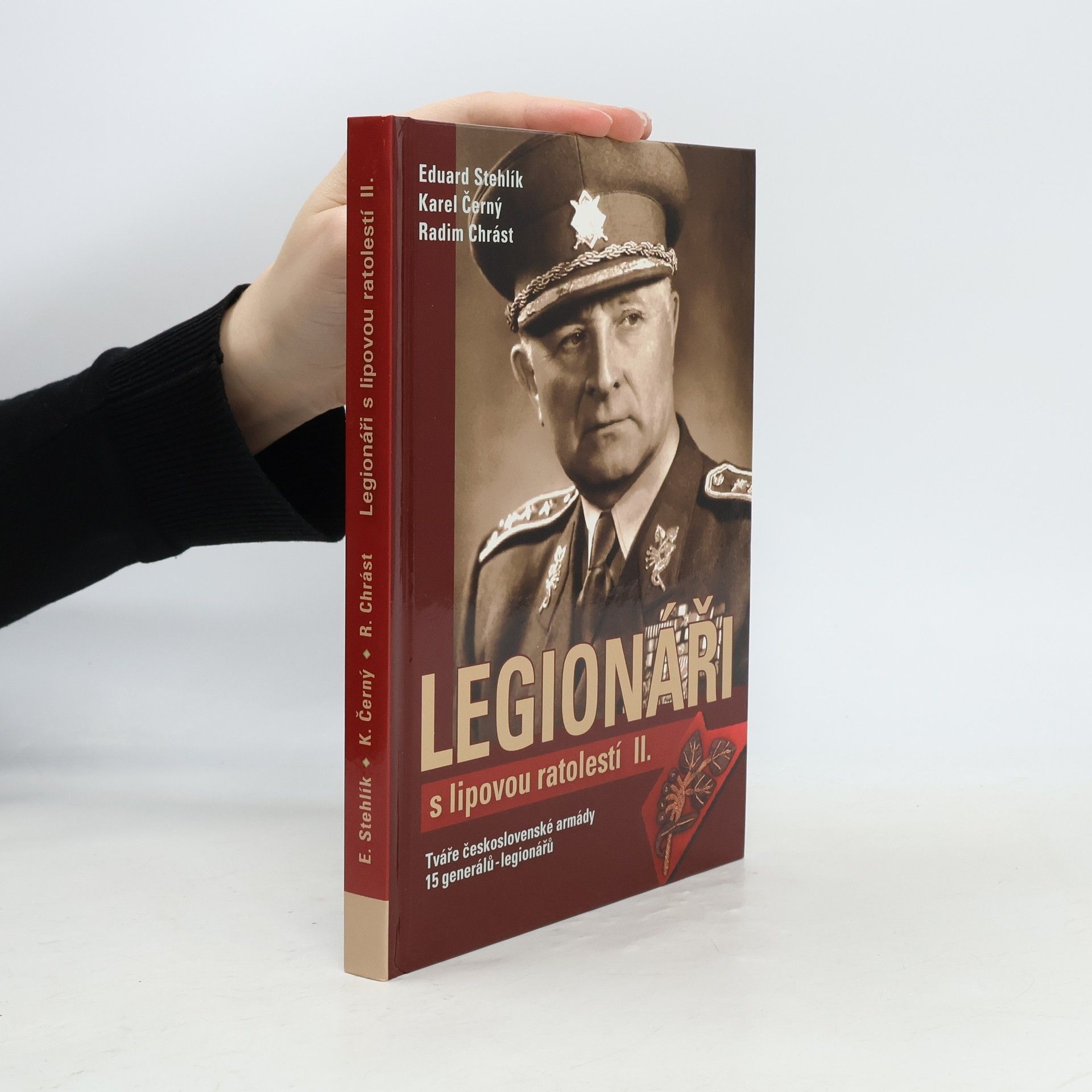 Karel Černý Legionáři s lipovou ratolestí II.