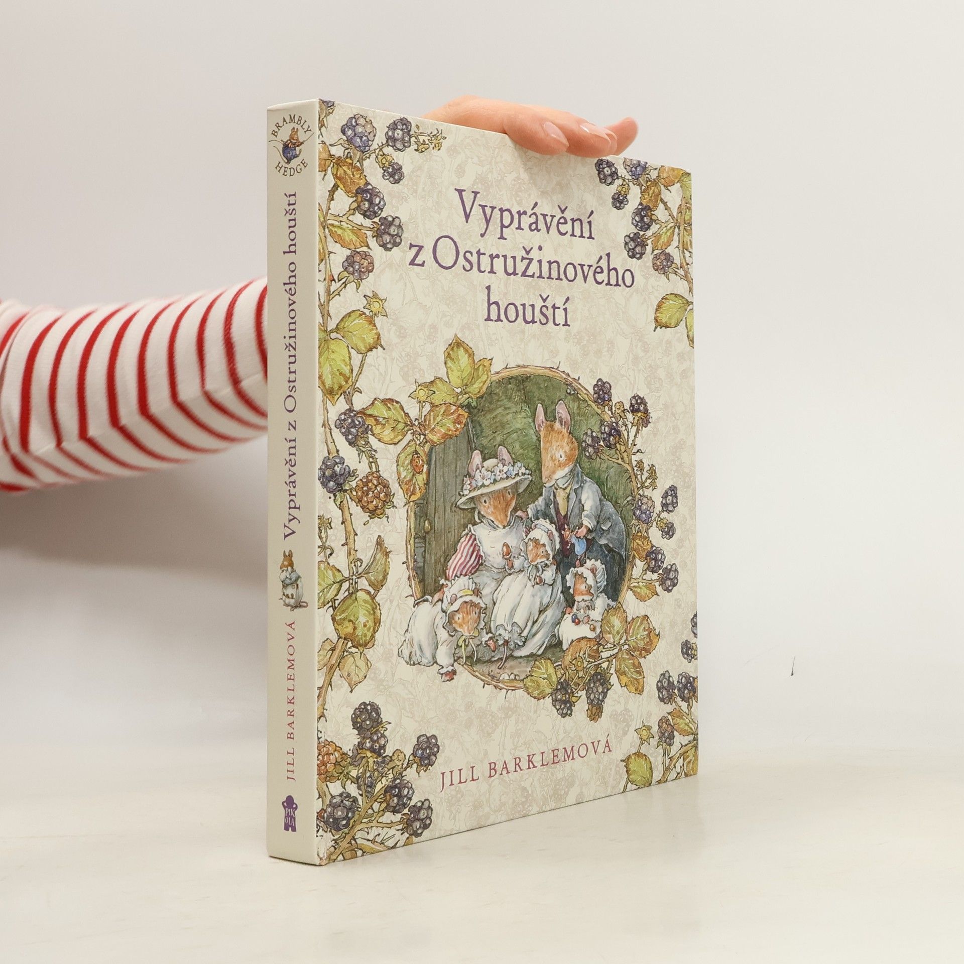 Maria Arnautovová Vyprávění z Ostružinového houští : souborné vydání