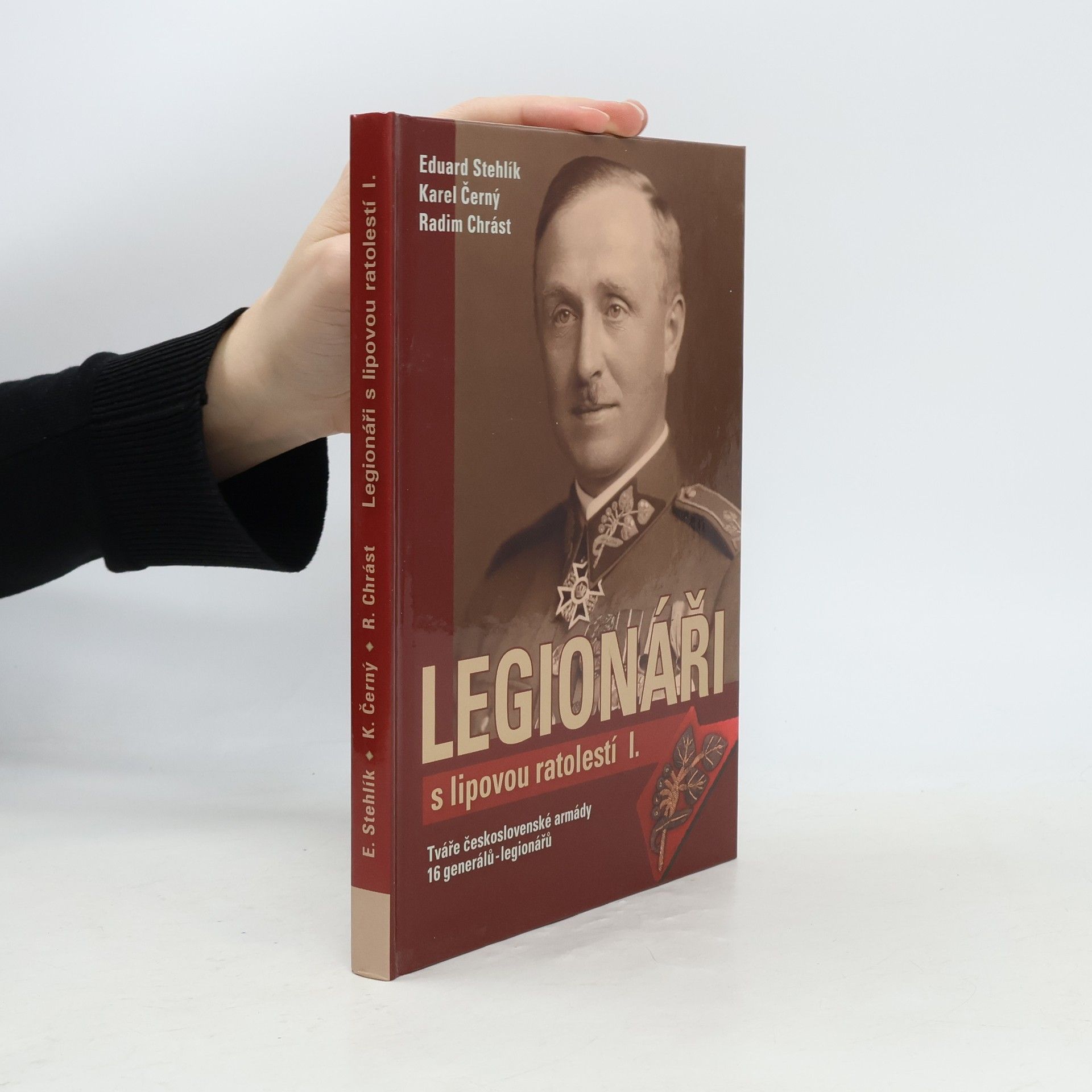 Eduard Stehlík Legionáři s lipovou ratolestí. I.