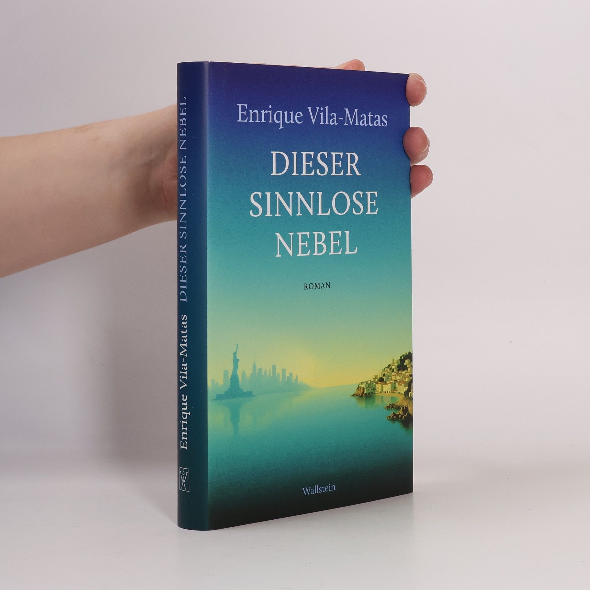 Enrique Vila Matas Dieser sinnlose Nebel: Roman
