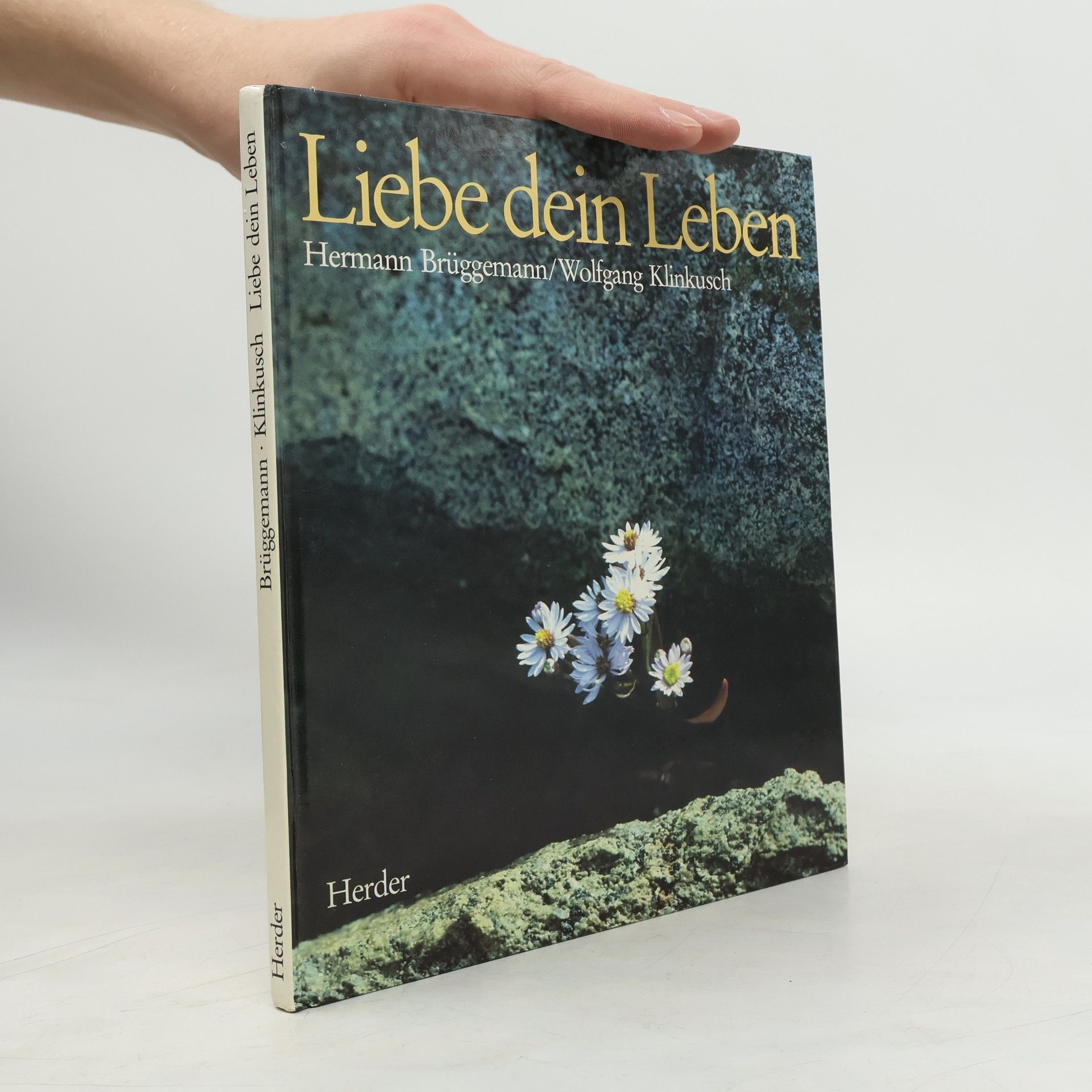 Hermann Brüggemann Liebe dein Leben