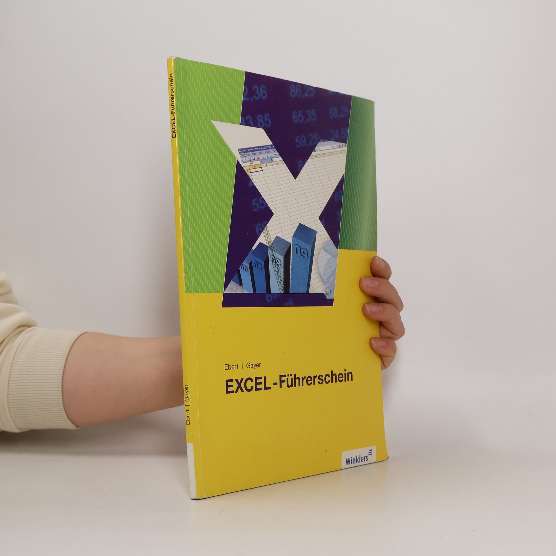 Renate Gayer Excel-Führerschein