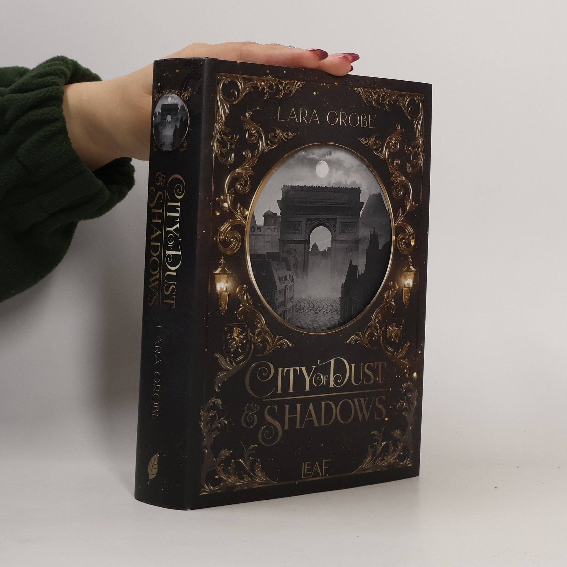 Lara Große City of Dust and Shadows