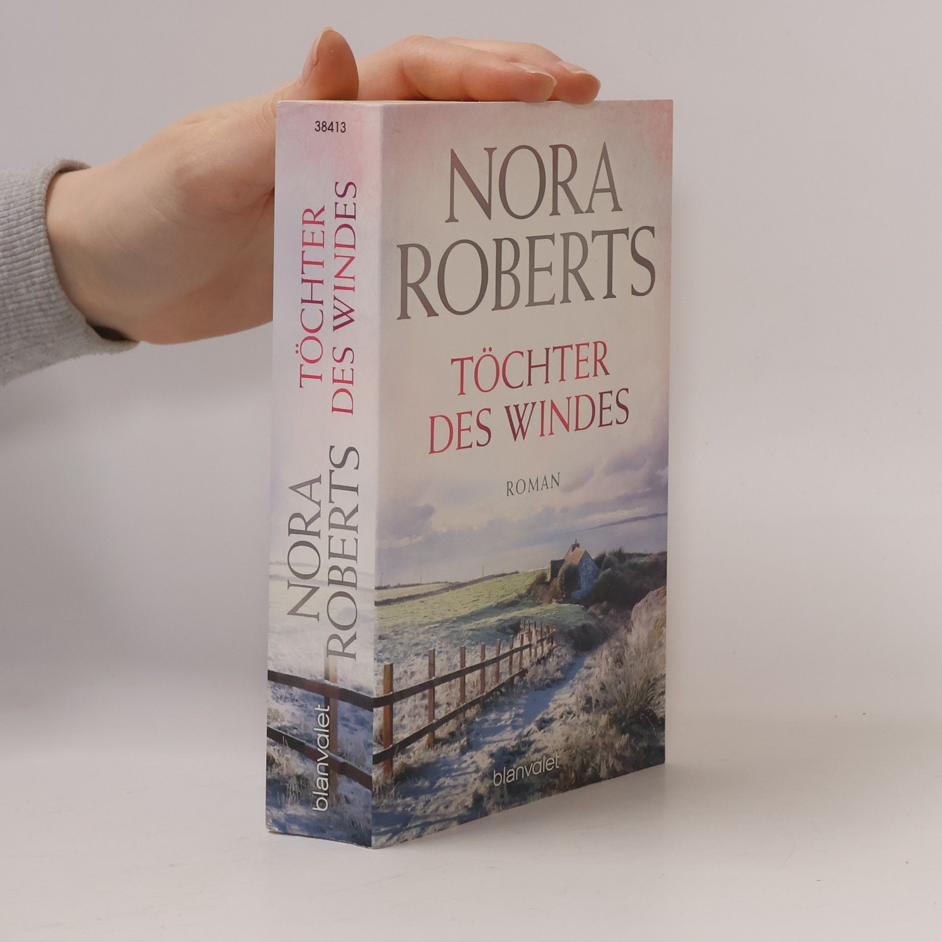 Nora Roberts Töchter des Windes
