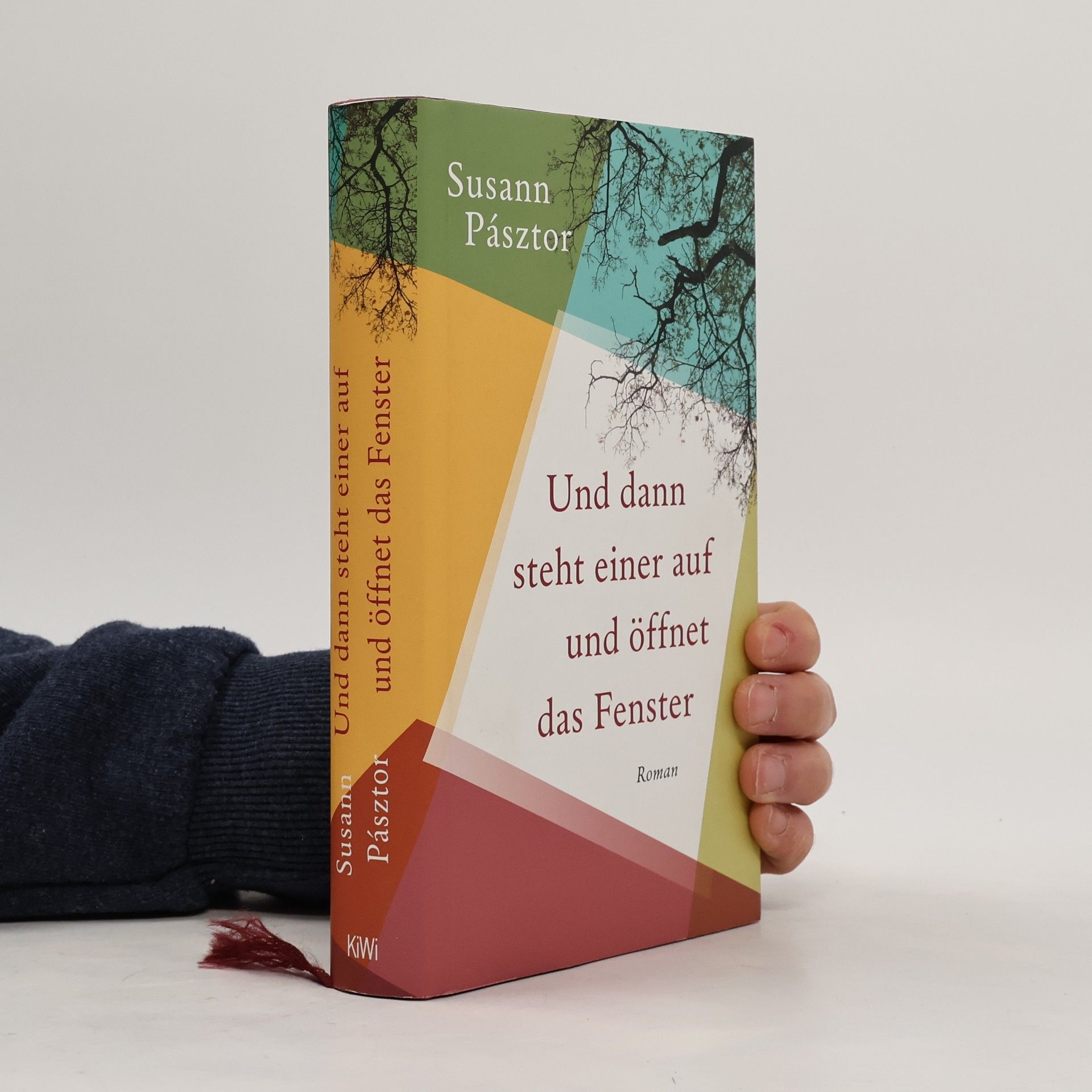 Susann Pásztor Und dann steht einer auf und öffnet das Fenster