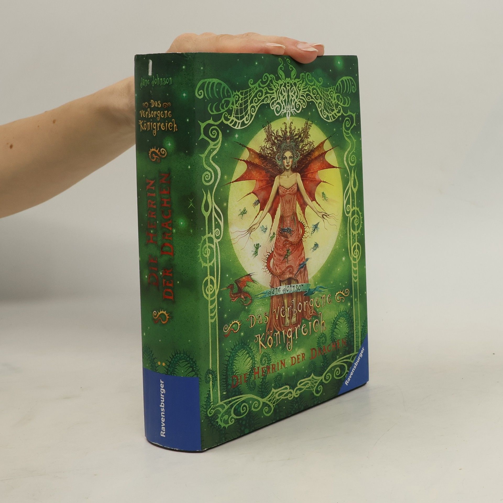 Das verborgene Königreich 3: Die Herrin der Drachen