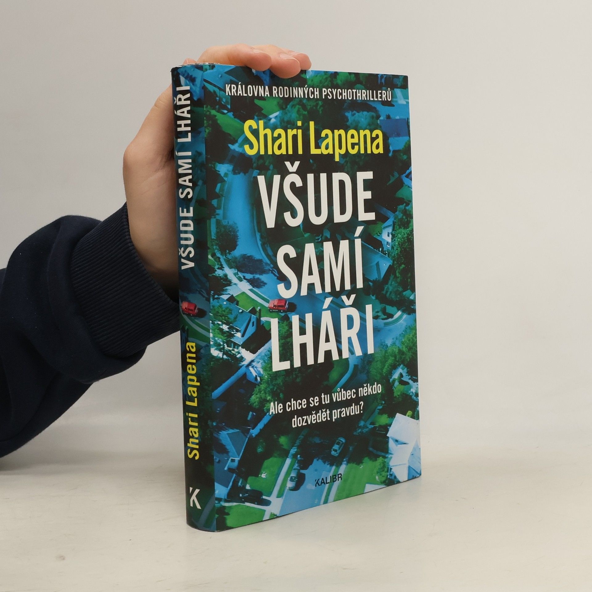 Shari Lapena Všude samí lháři