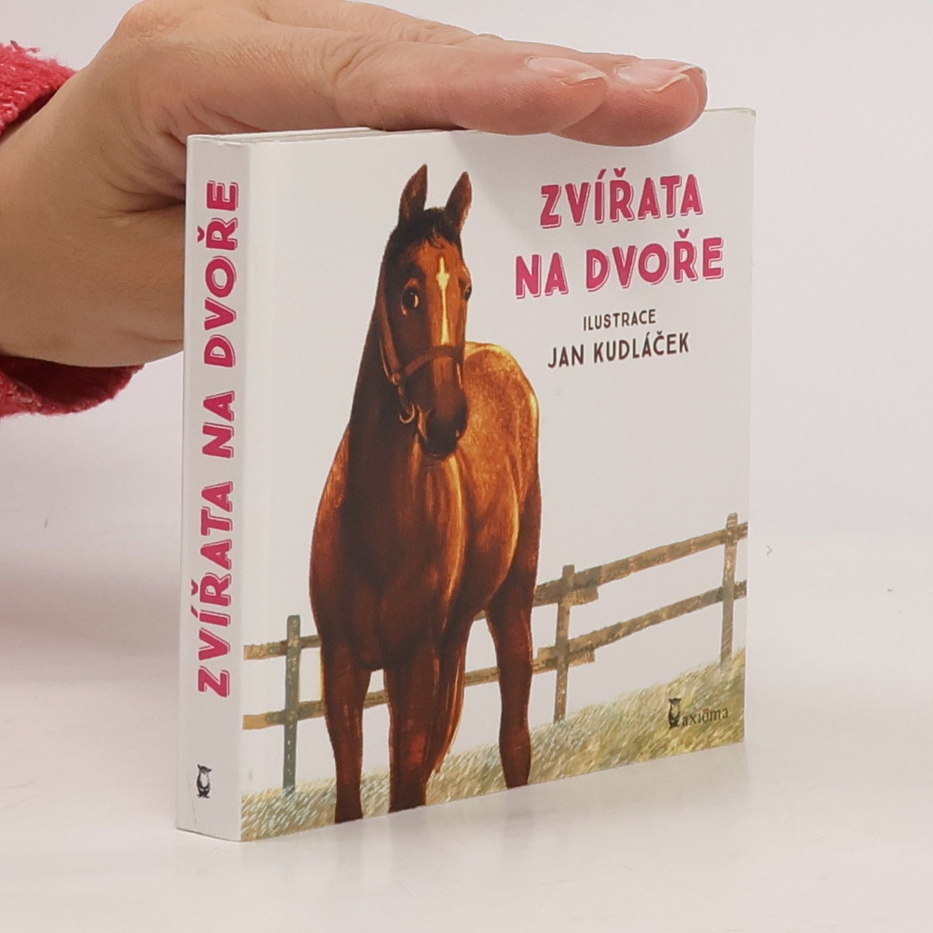 Jan Kudláček Zvířata na dvoře