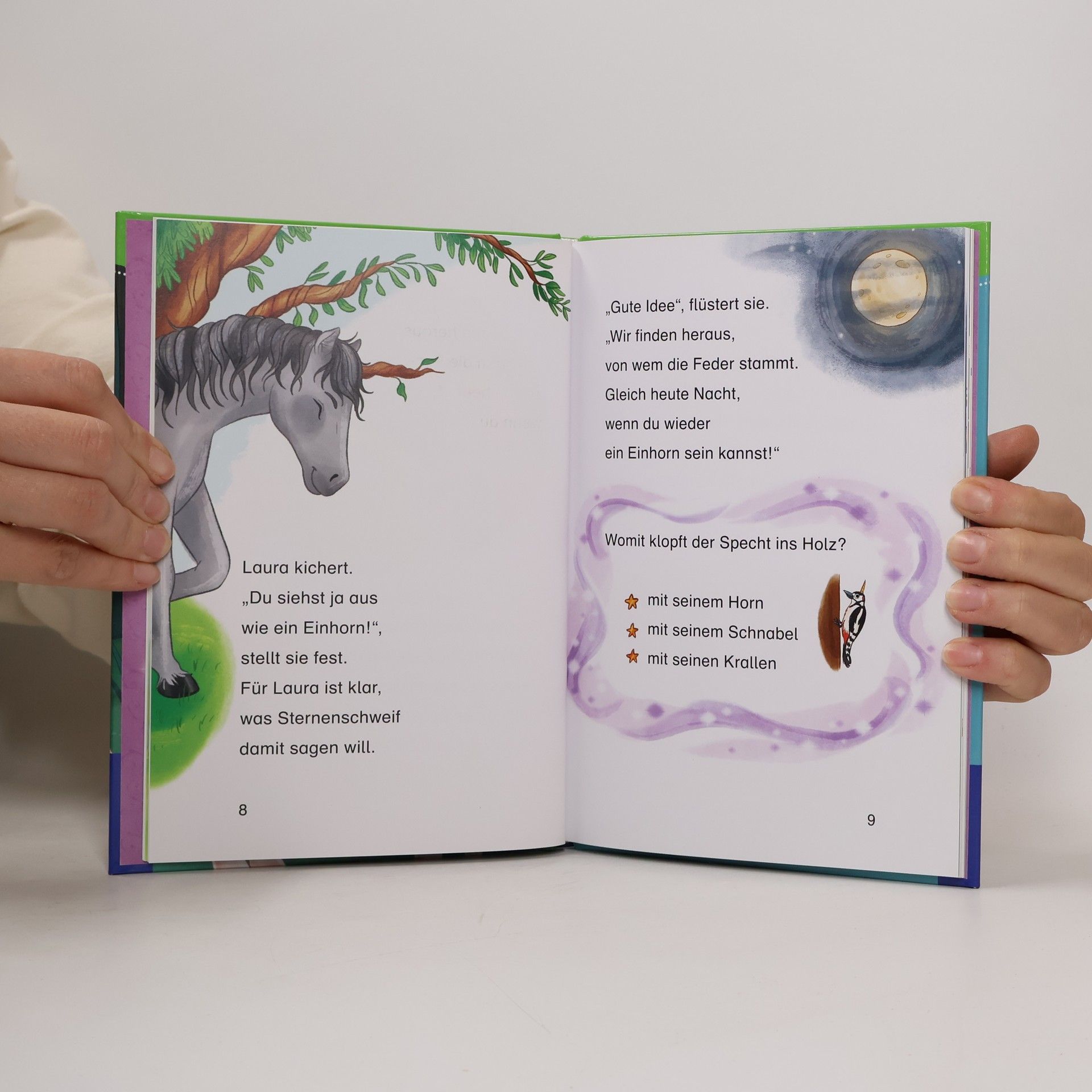 Linda Champan Sternenschweif, Bücherhelden 1. Klasse, Die goldene Feder
